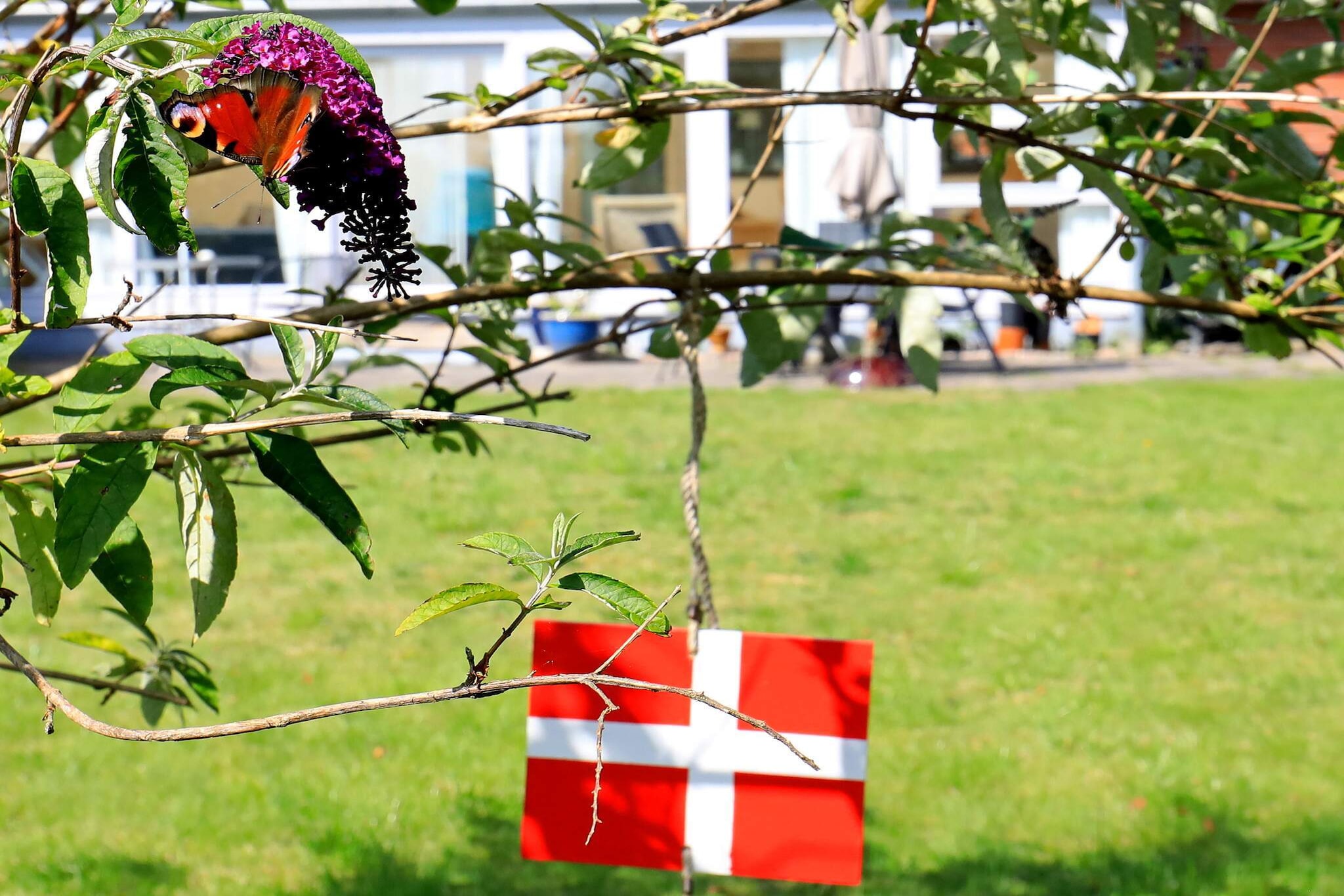 5 Personen Ferienhaus in Ålbæk - Innenbereich