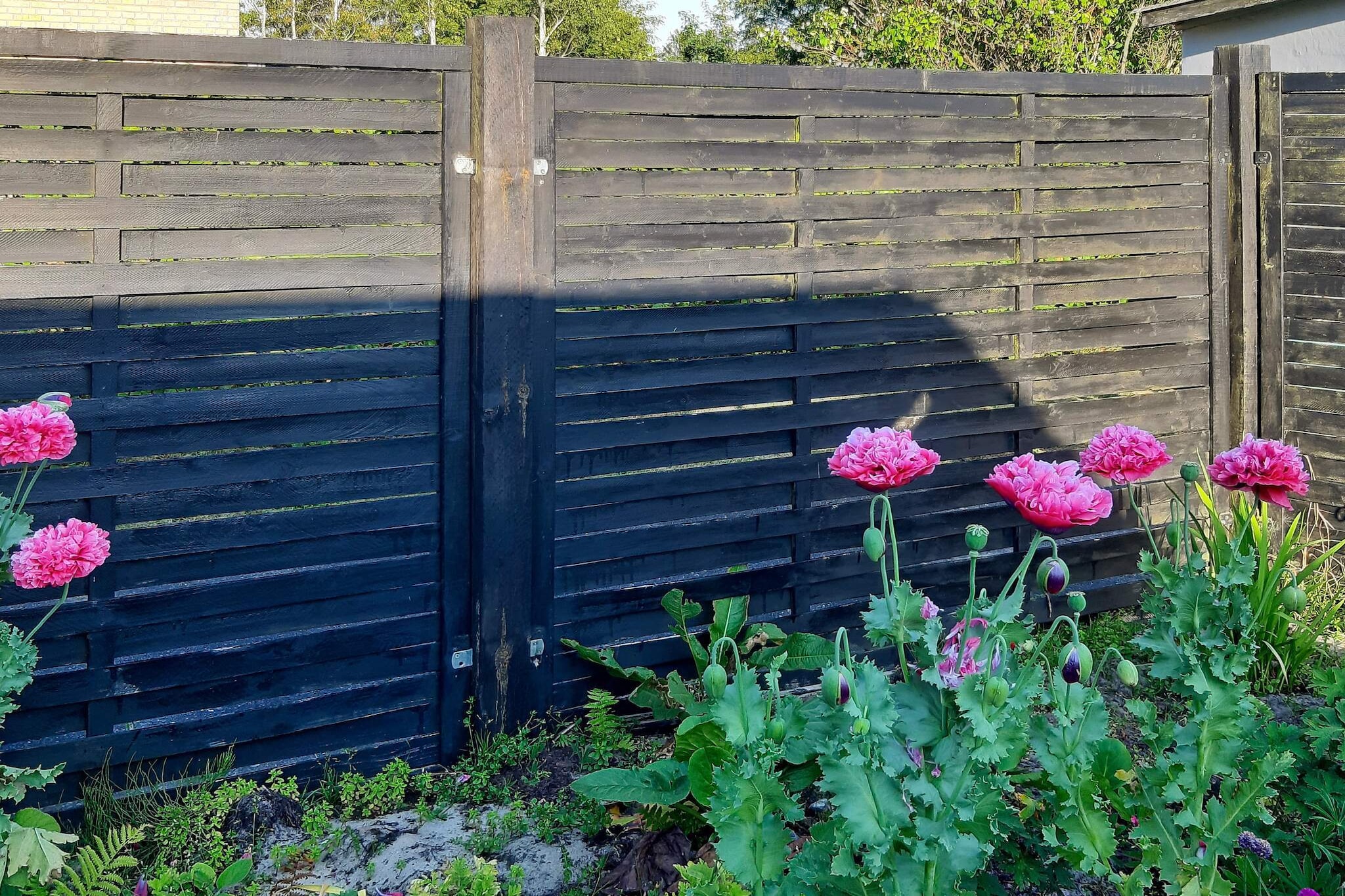 5 Personen Ferienhaus in Ålbæk - Aussicht