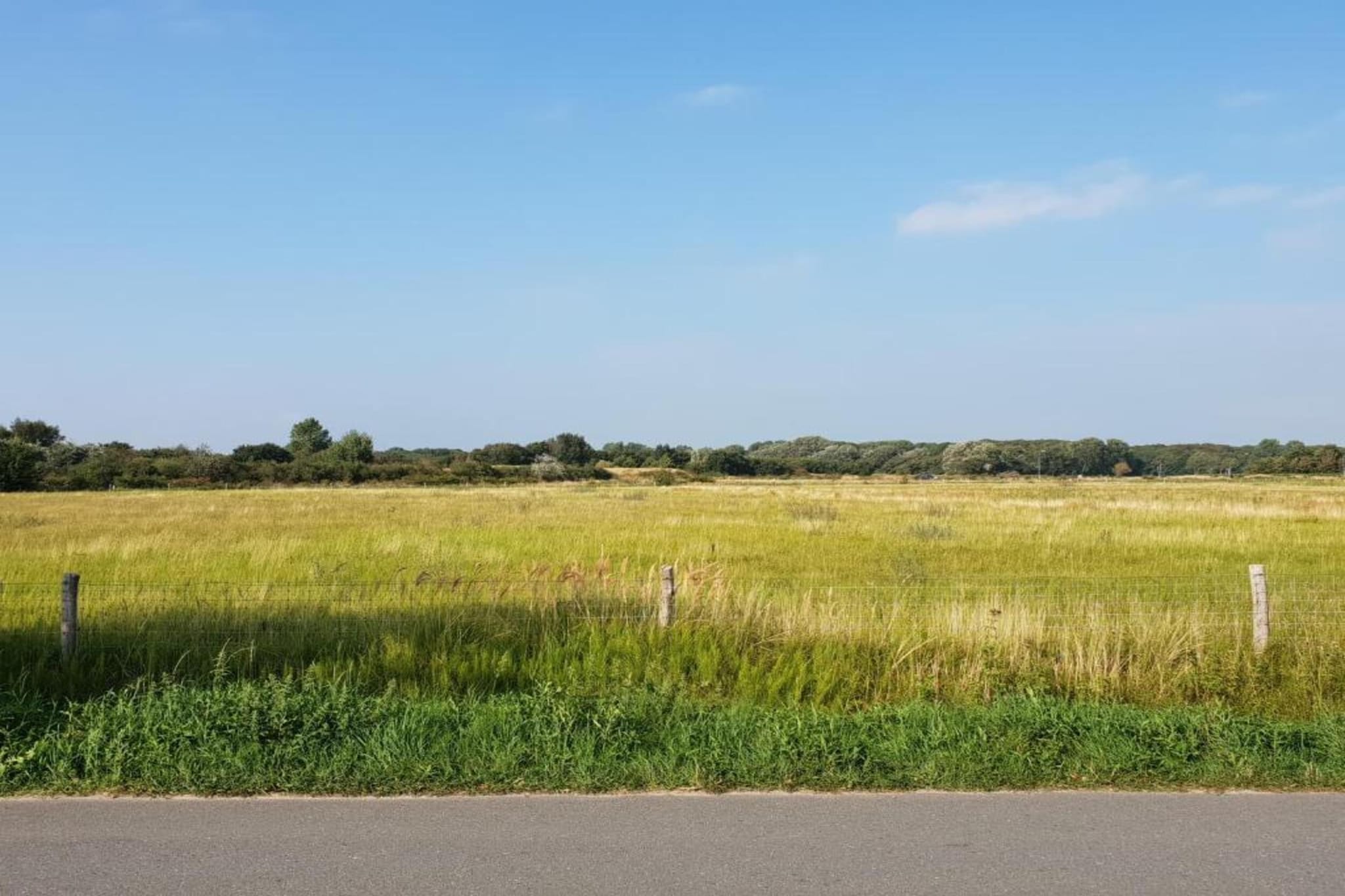 Aan het Boerenverdriet-Gebieden zomer 20km