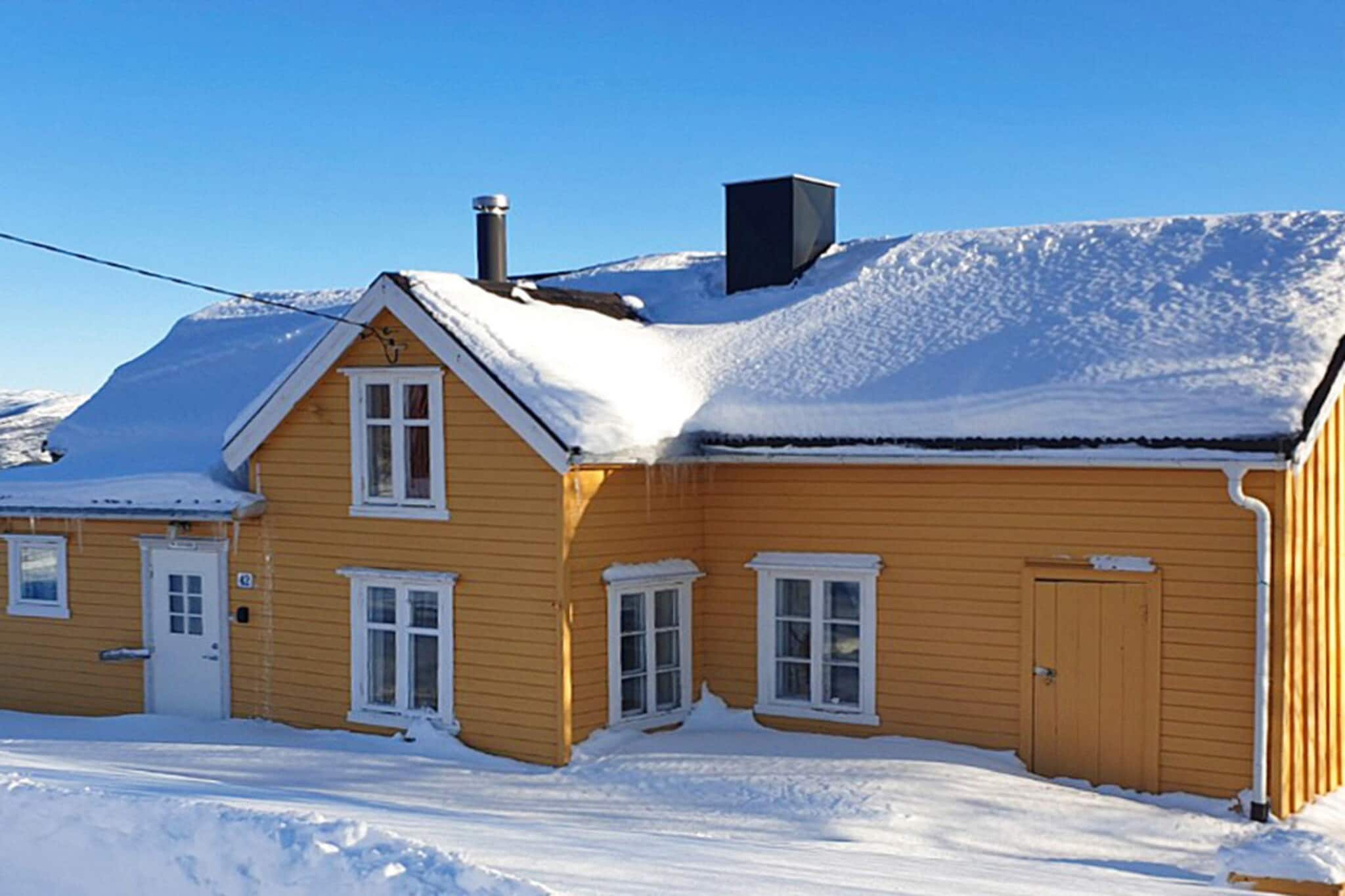 04212 SKOTTESTAD HEIMEN - Outdoor