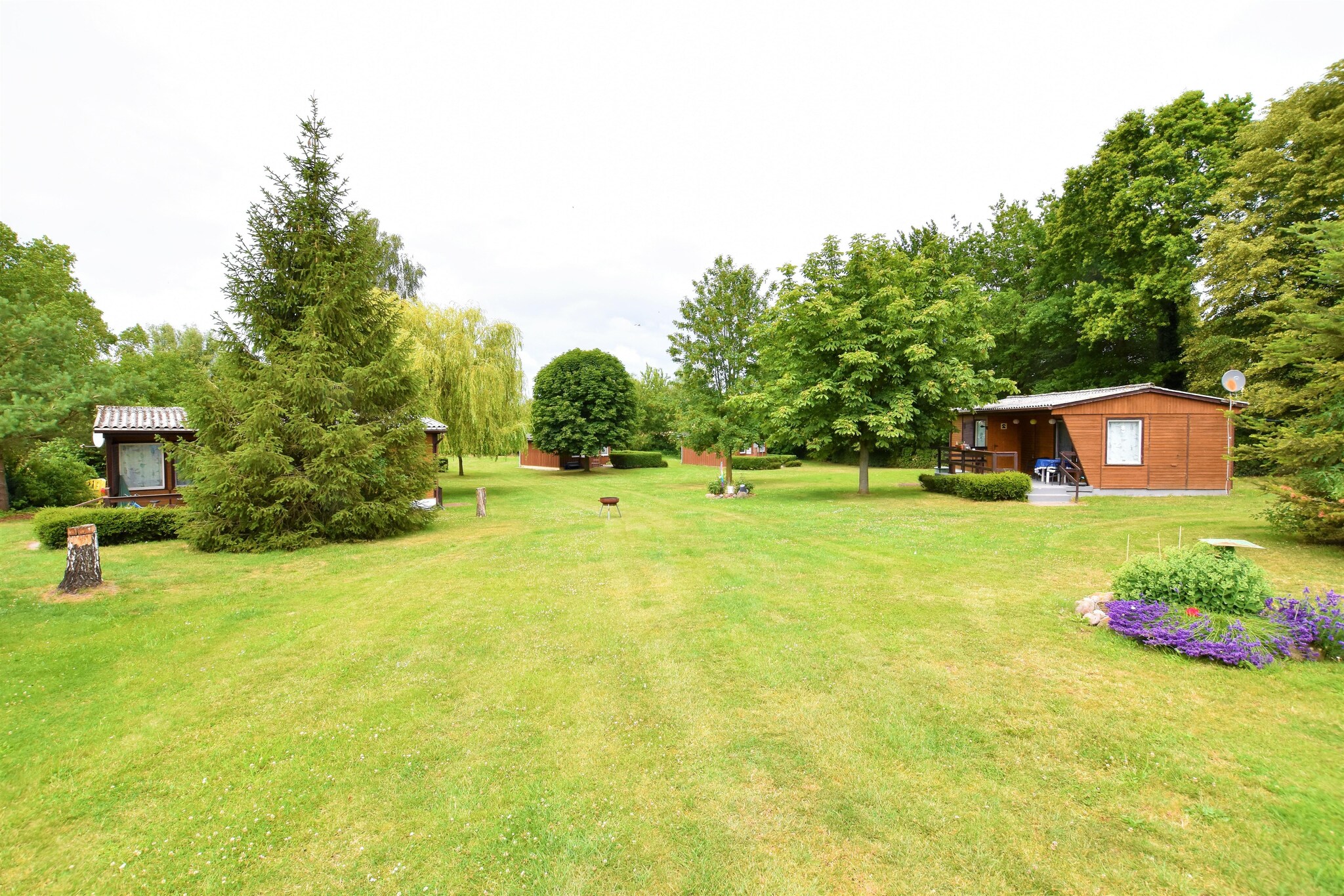 Bungalowanlage Gänseblümchen 7-Gebieden zomer 5km