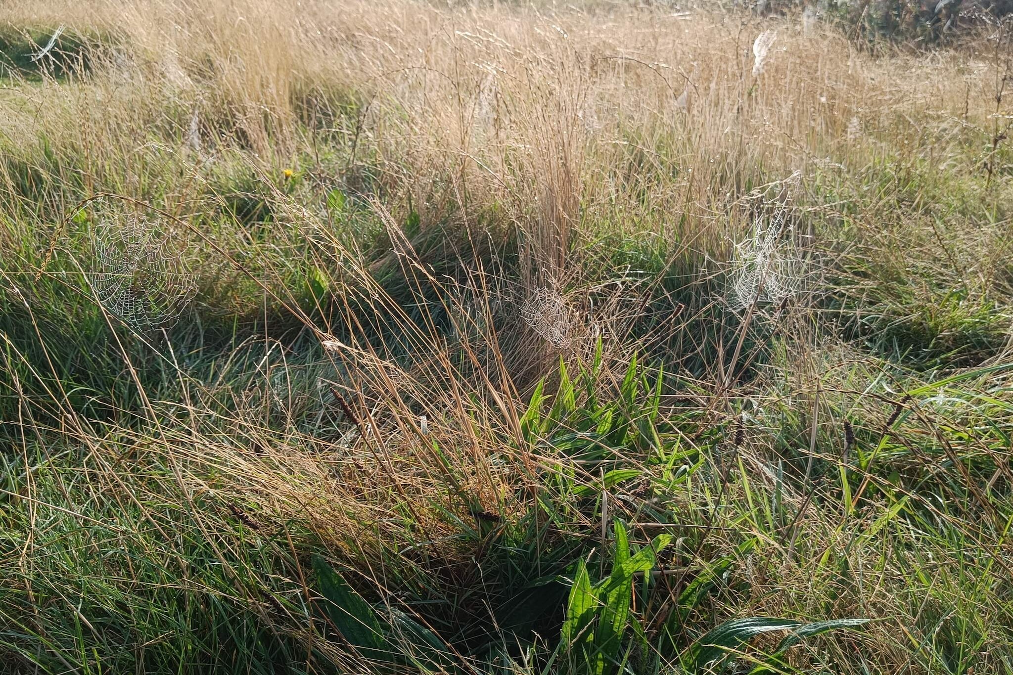 5 person holiday home in Lemvig-Untagged