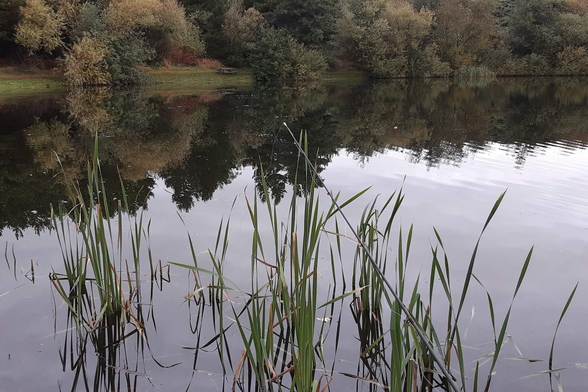 6 persoons vakantie huis in Ringkøbing-Waterzicht
