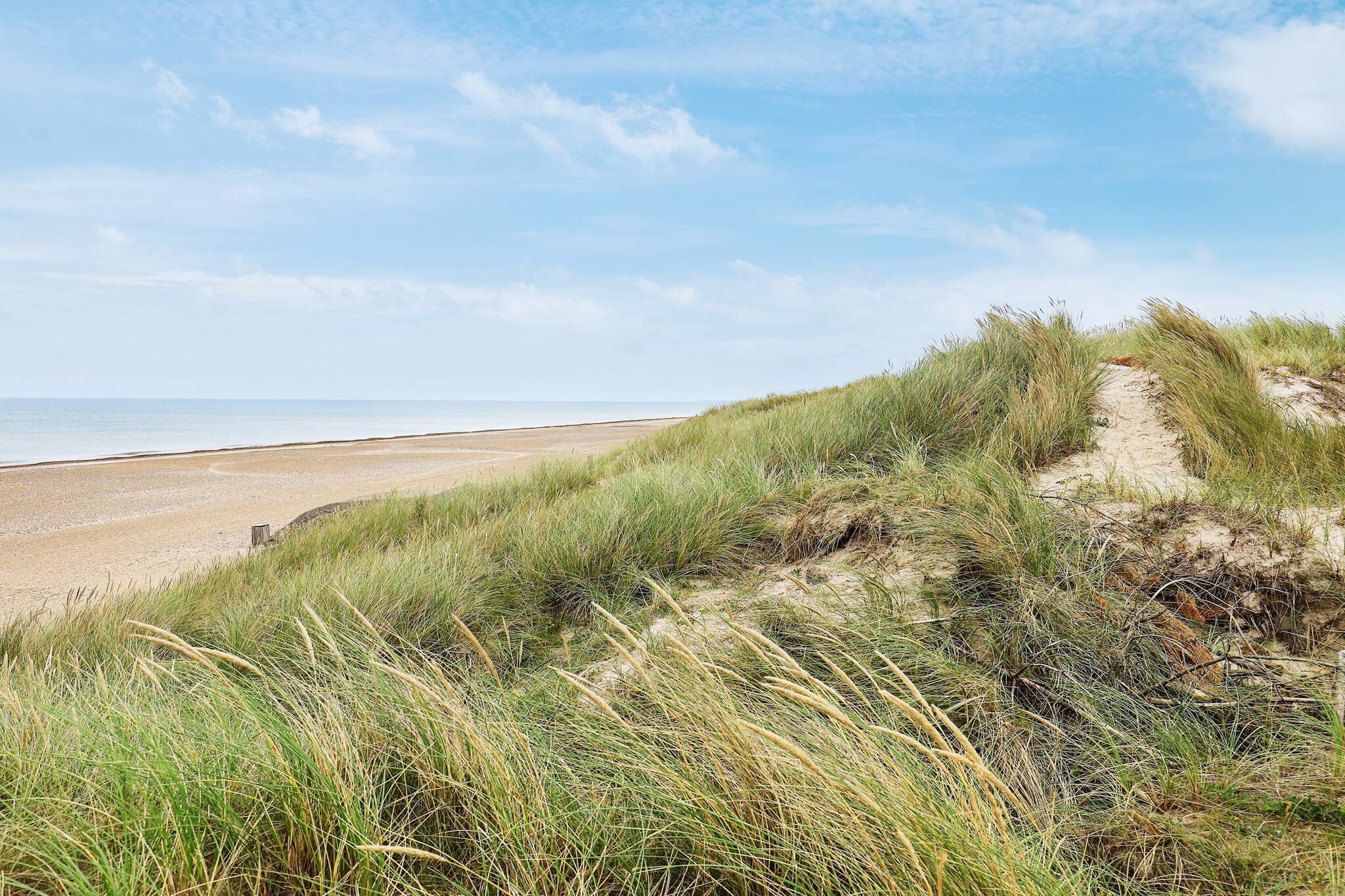 Kustsereniteit bij Tranum Beach-By Traum