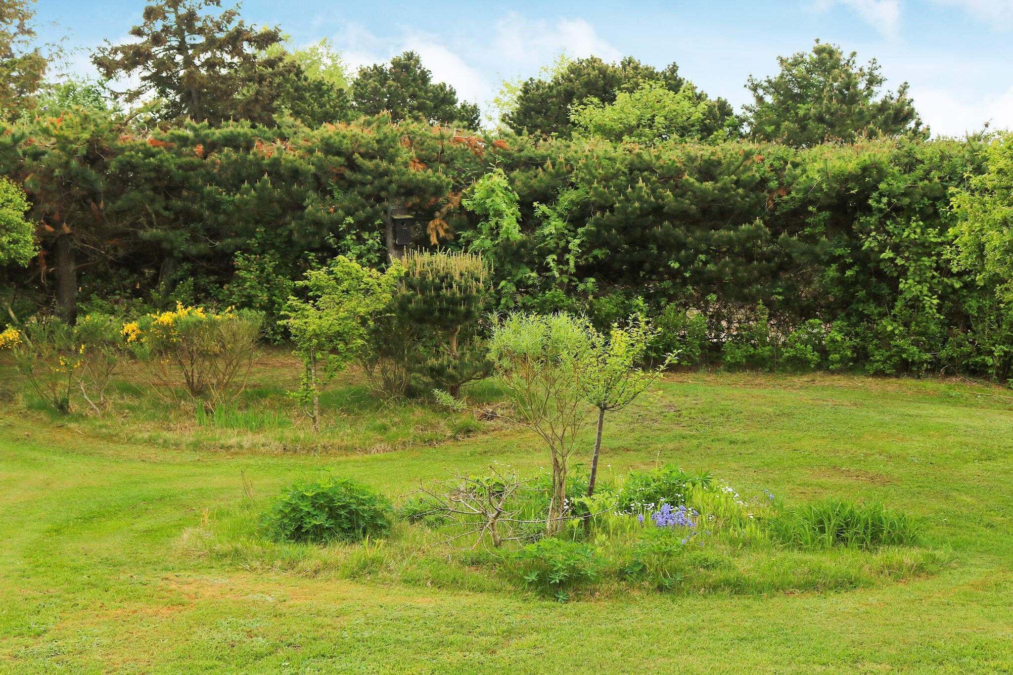 6 person holiday home in Hadsund - Untagged