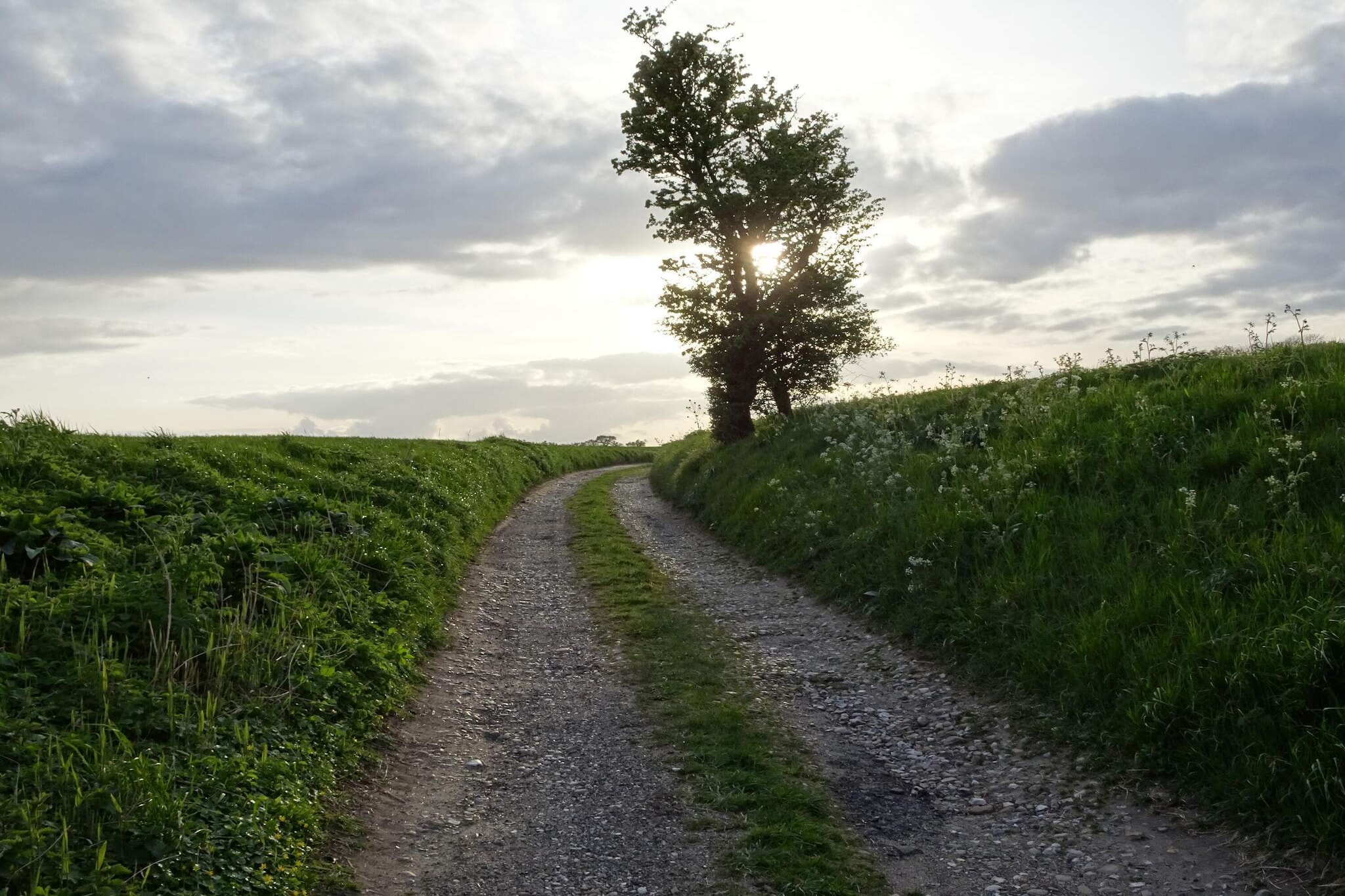 Spacious cottage with sauna in a rural setting by Ballum and Marshland. In extension of the kitchen / living room, where the whole family can be accommodated, you will find the living room with wood burning stove and TV. There are two bathrooms, one of which has direct access to the house's sauna. The 12 beds are divided into six bedrooms each with a double bed. There is central heating on the ground floor and partial underfloor heating. On the 1st floor there is electric heating and here the Wadden Sea can be glimpsed in the distance. From the kitchen / family room there is access to the house terrace, where there is a barbecue and garden furniture available. Free access to water park as well as free sports and fitness.

A refundable deposit might be charged closer to your check-in date. This deposit covers utilities consumed during your stay and any additional services that may be taken. The final amount will be adjusted based on actual meter readings, actual usage of extra services, and any remaining balance will be refunded within 21 days after checkout.
