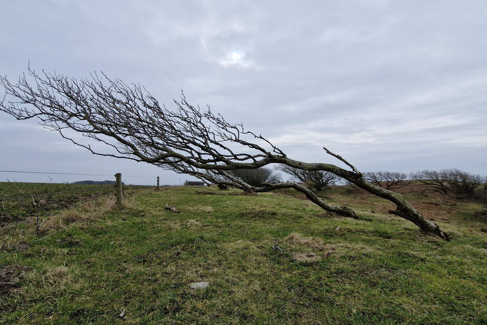 6 persoons vakantie huis in Spøttrup-By Traum-Niet-getagd