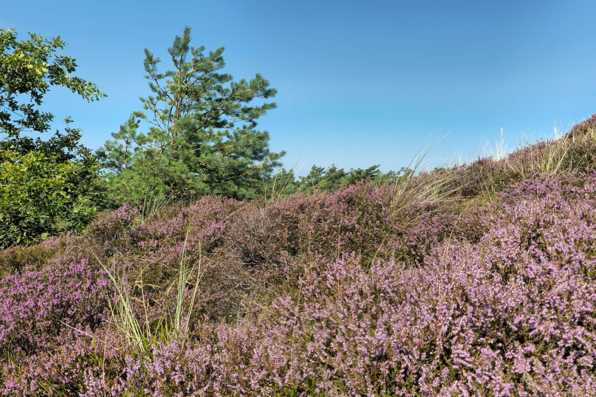 Luxe retraite met zwembad -- By Traum Ferienwohnungen-Niet-getagd