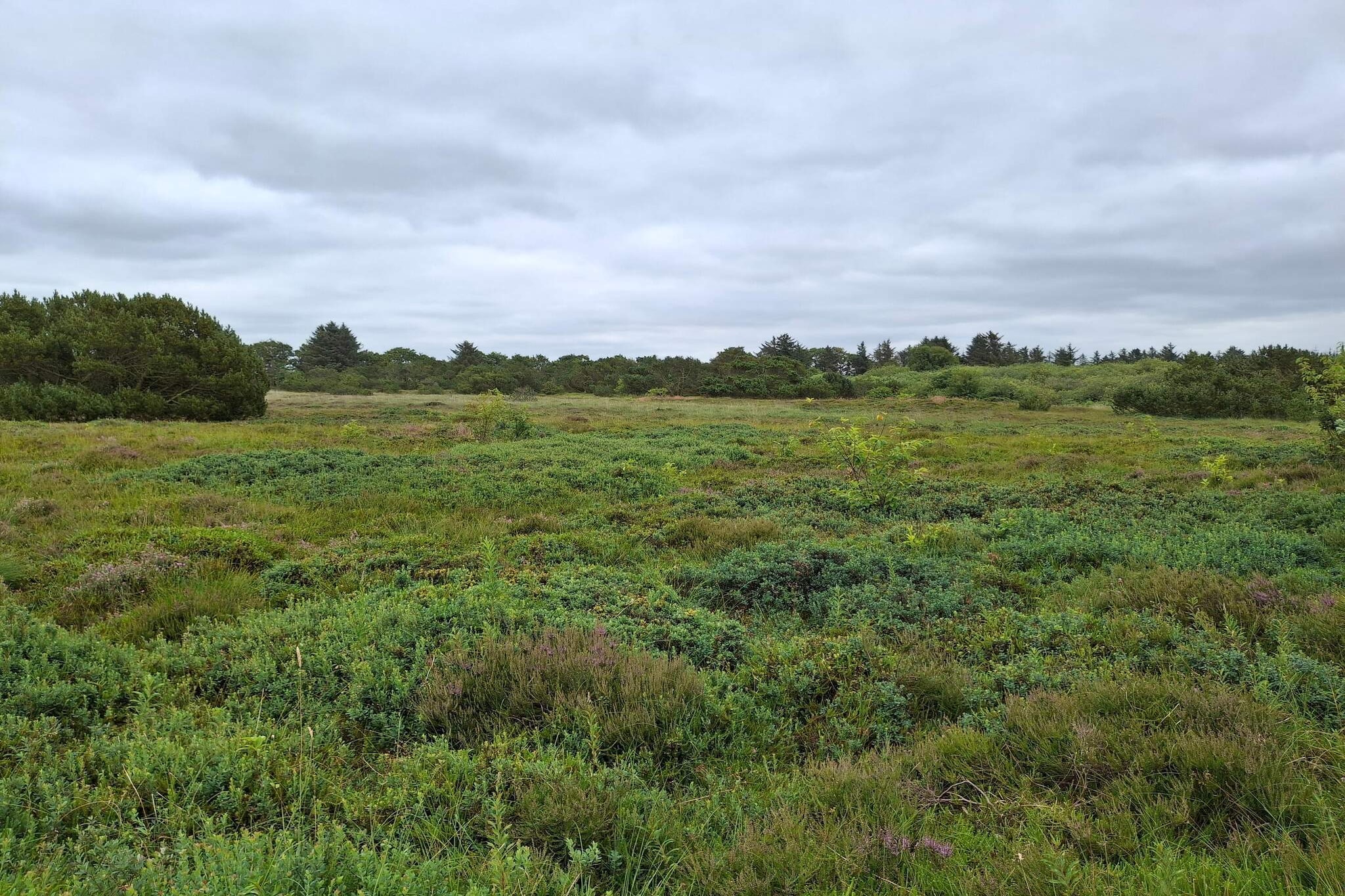 6 persoons vakantie huis in Hemmet-By Traum