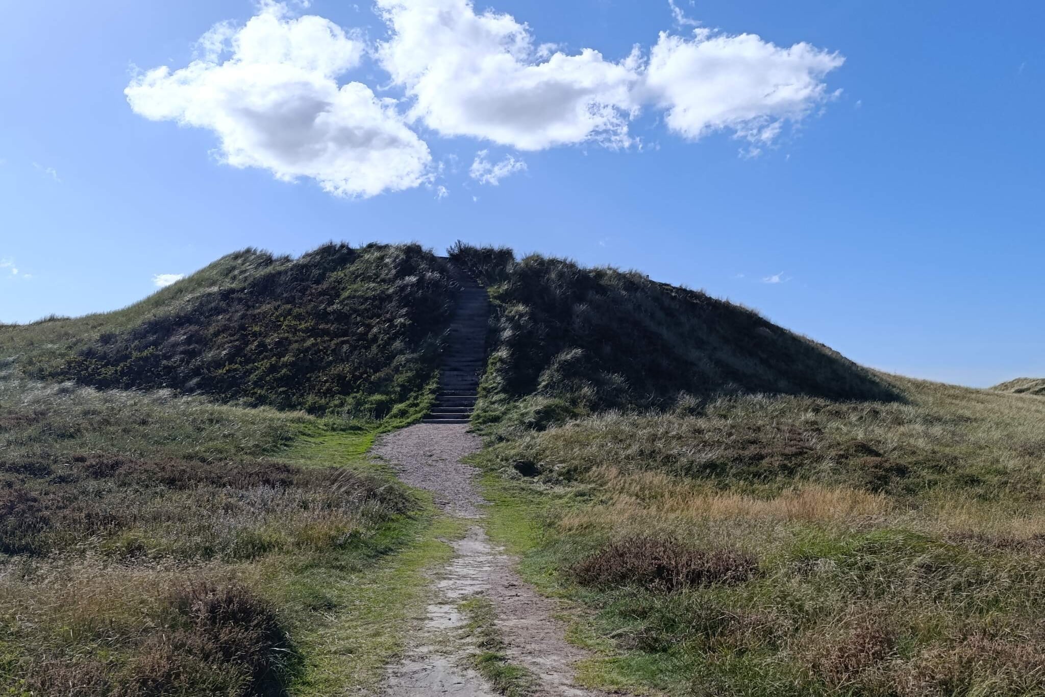 8 persoons vakantie huis in Rømø-By Traum-Niet-getagd