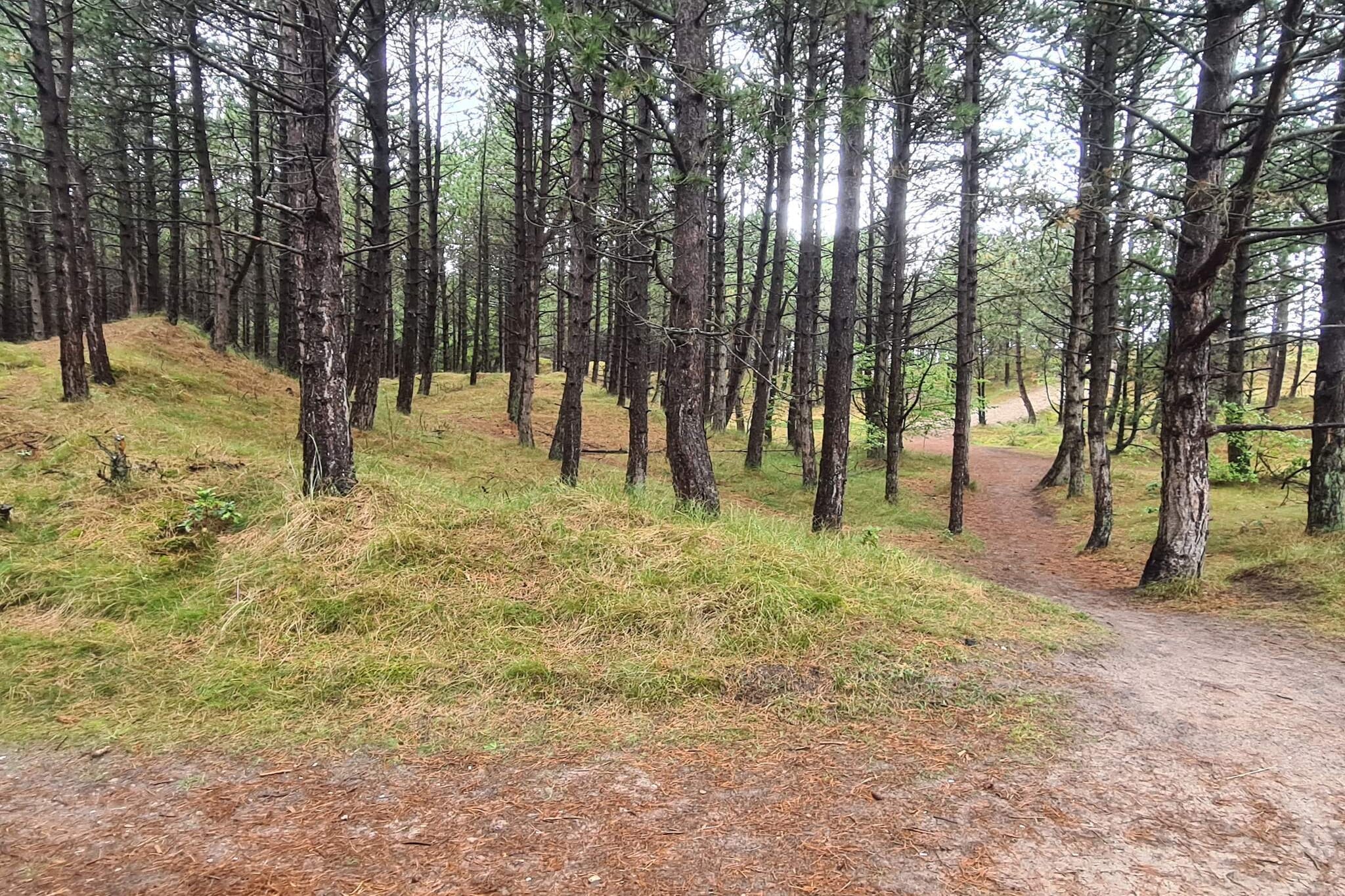 8 persoons vakantie huis in Rømø-By Traum-Niet-getagd