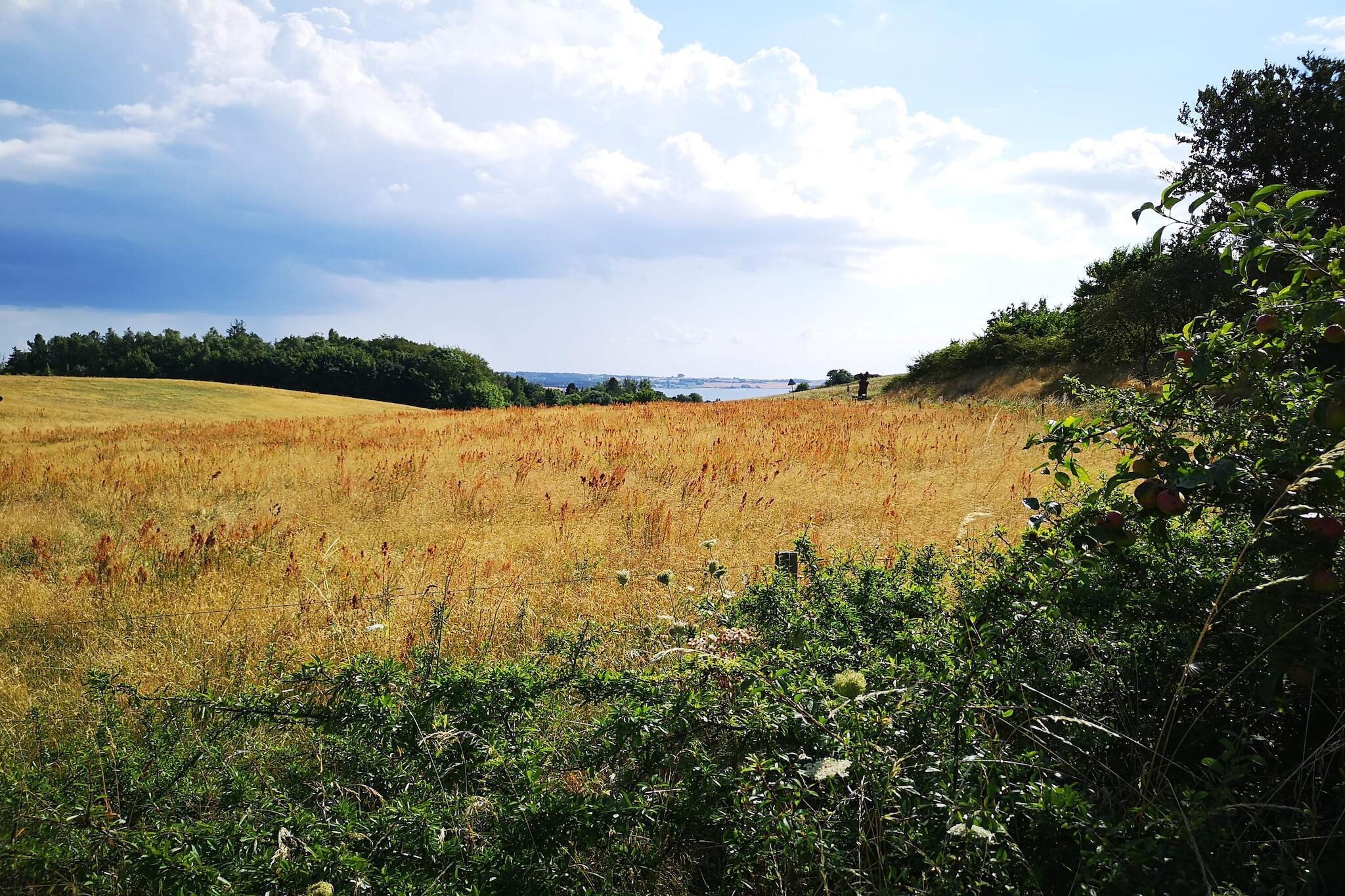 Kustsereniteit bij Fuglsovig-By Traum-Niet-getagd