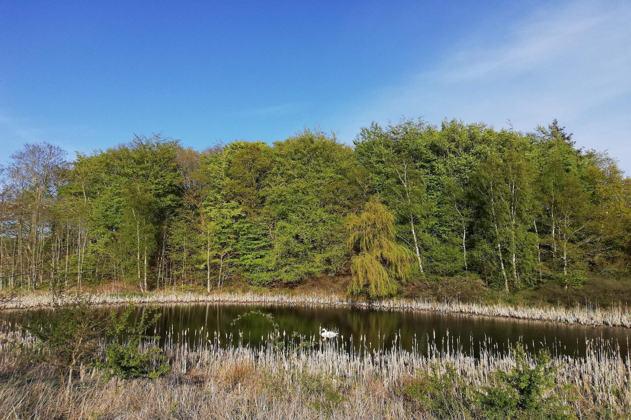Kustsereniteit bij Fuglsovig-By Traum-Niet-getagd