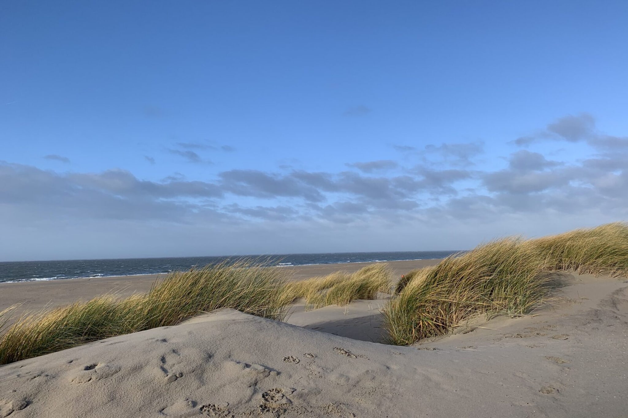 Eco Resort Grevelingenstrand-Gebieden zomer 1km