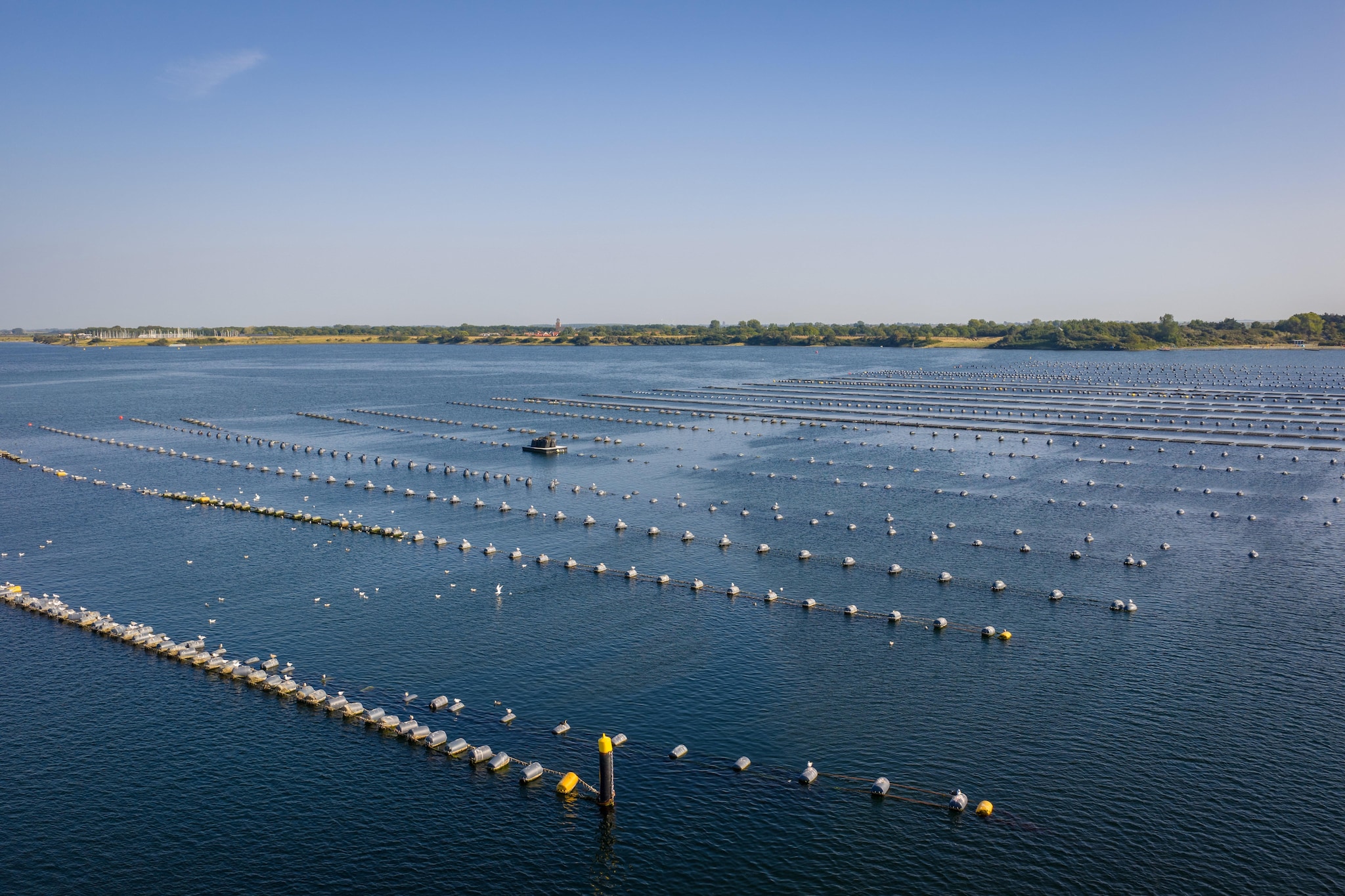 Eco Resort Grevelingenstrand-Gebieden zomer 5km