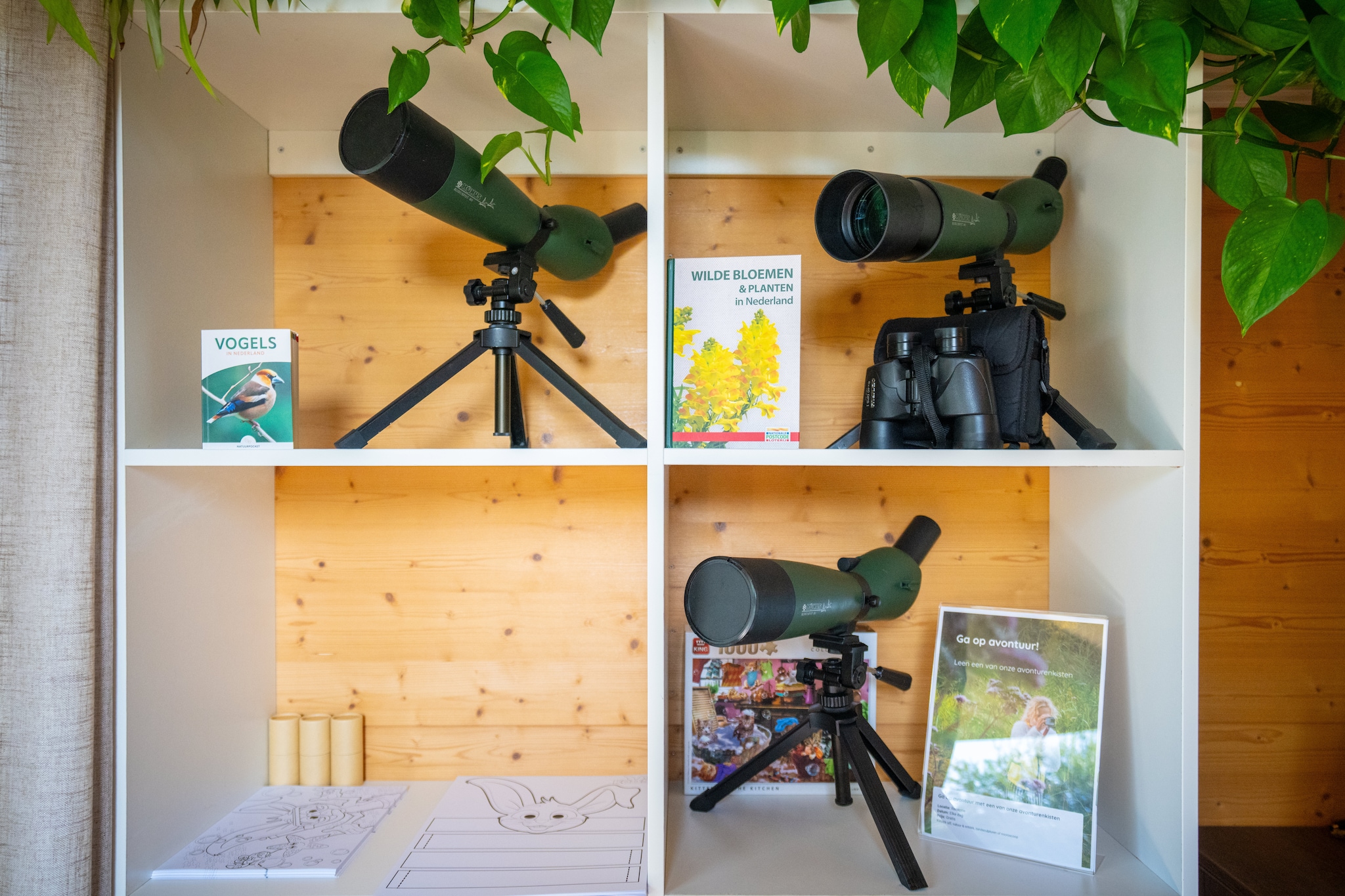 Eco Resort Grevelingenstrand-Sfeer