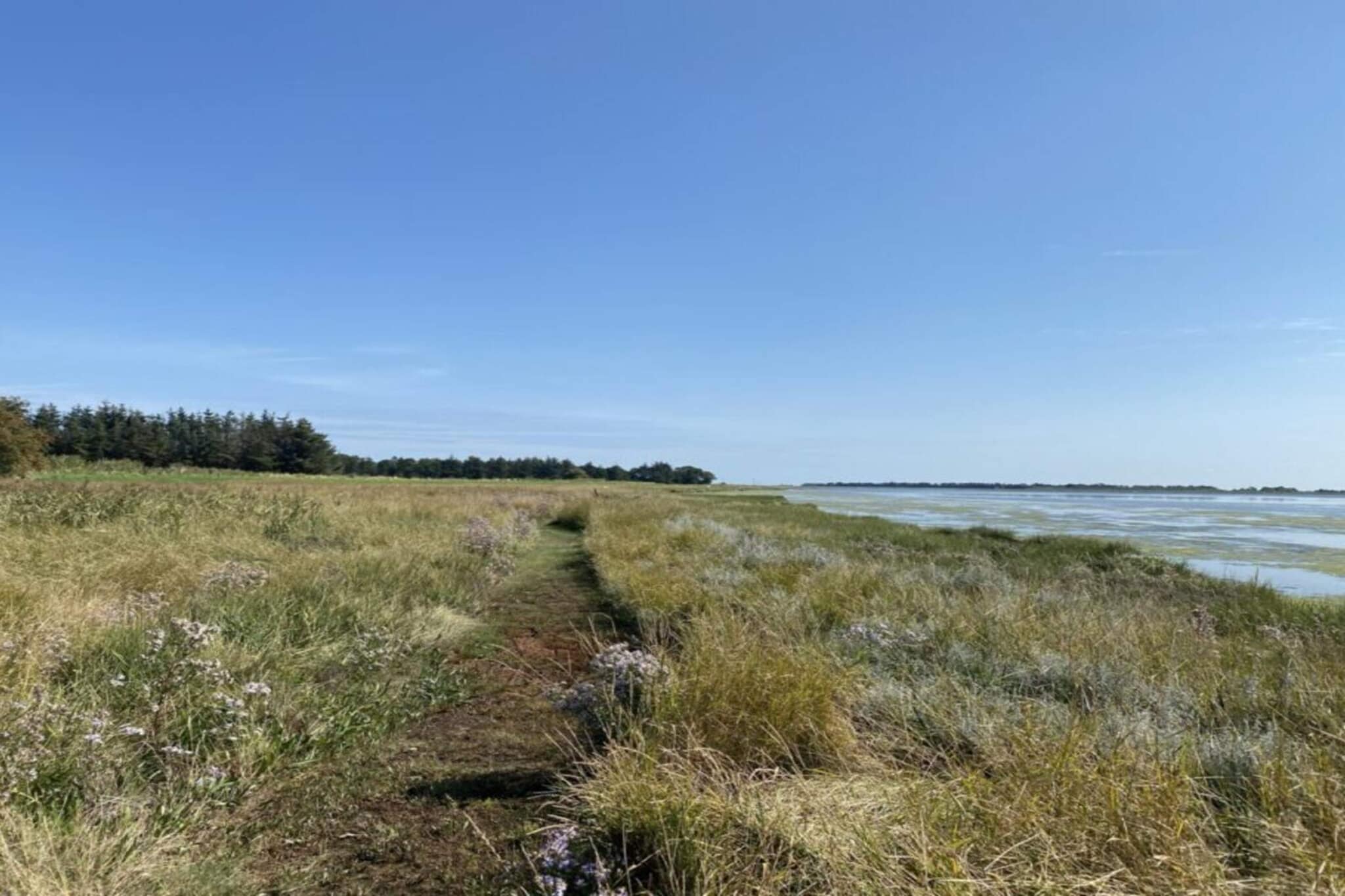 Maison de vacances pour 8 a Hadsund-Non étiqueté