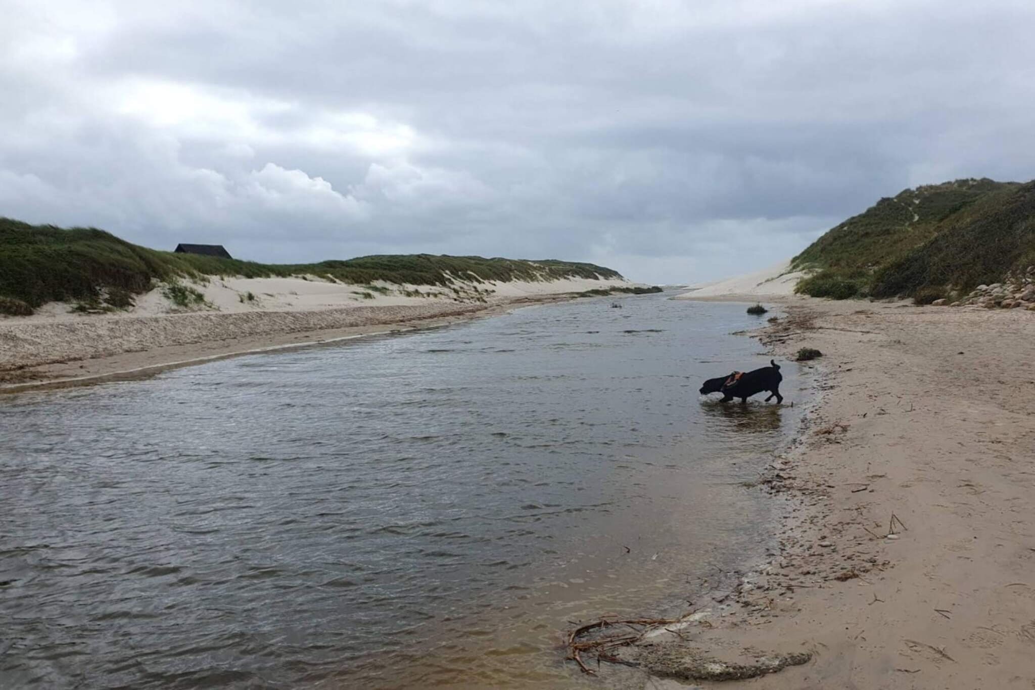 8 persoons vakantie huis in Blåvand-Waterzicht