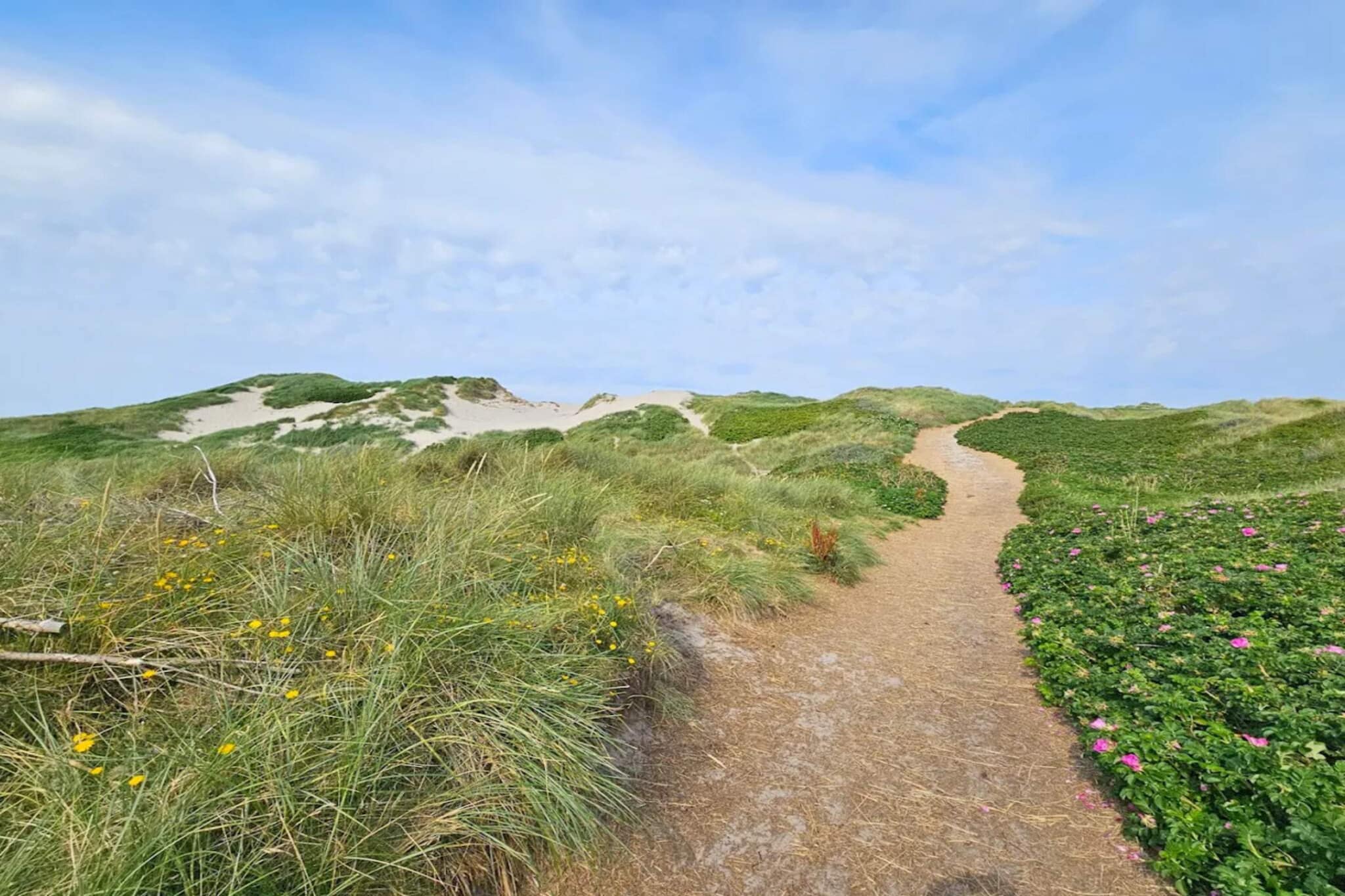 6 person holiday home in Hvide Sande