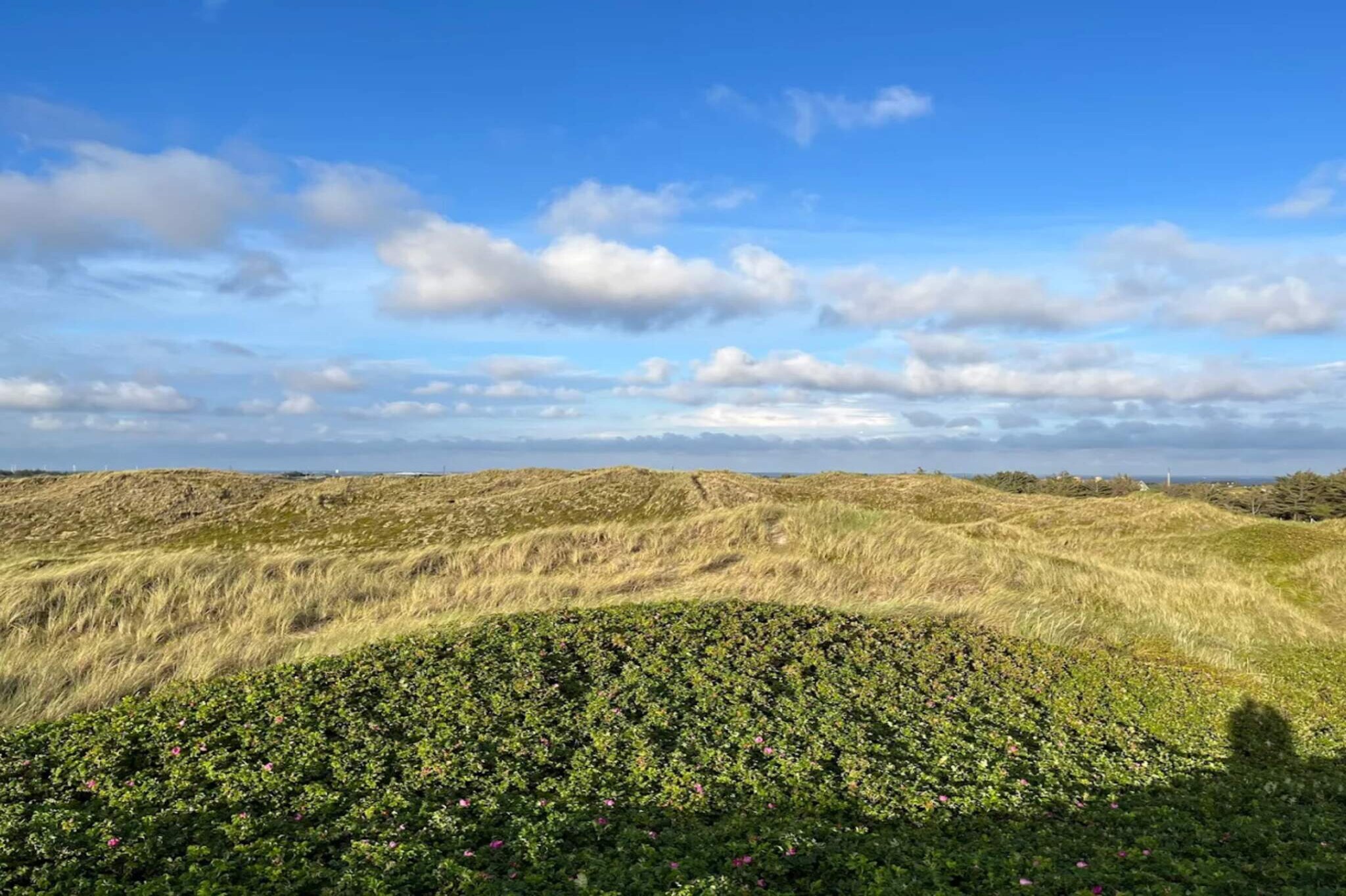 6 person holiday home in Hvide Sande-Water view