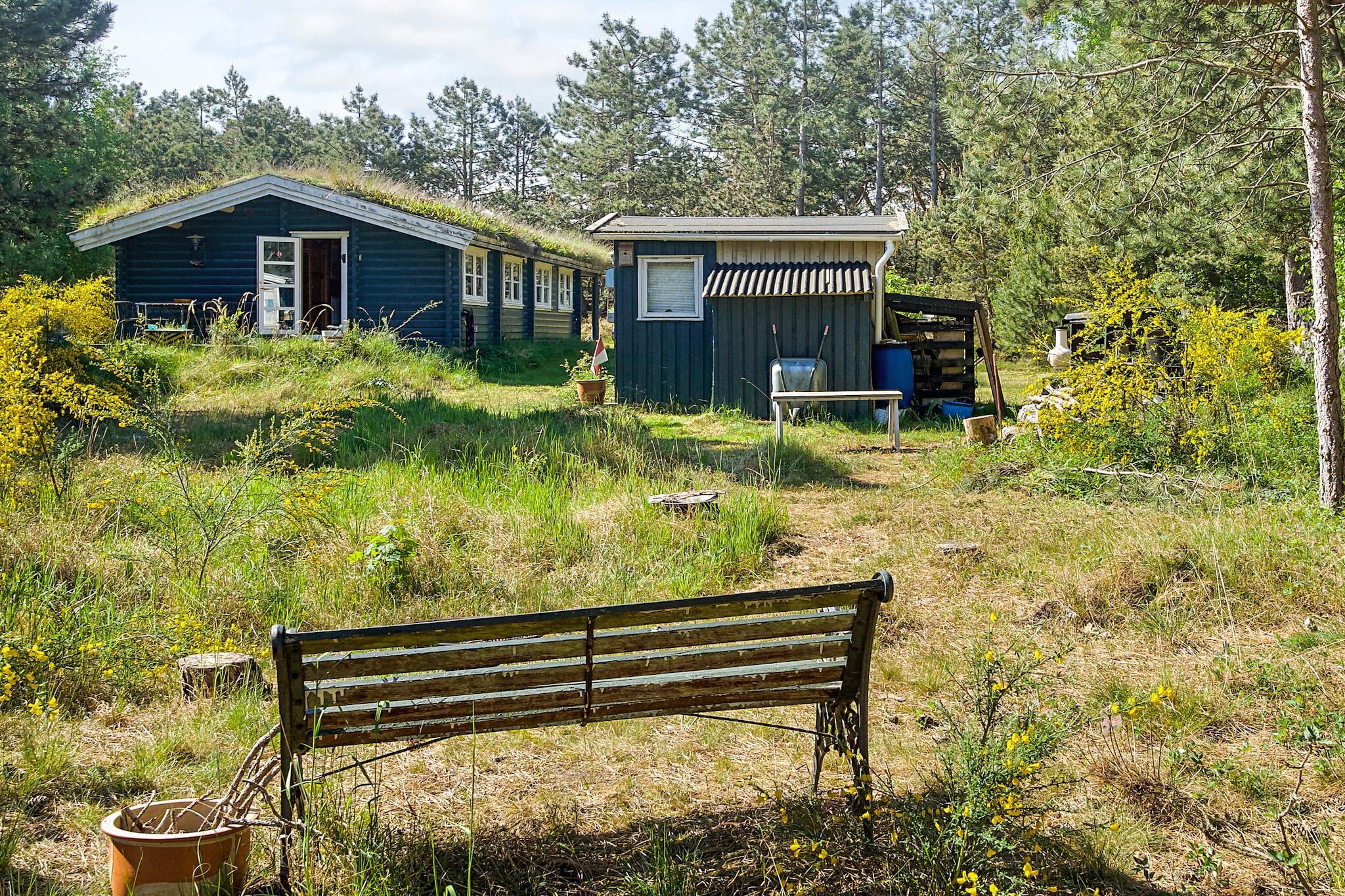 Kustsereniteit bij Yderby Lyng-By Traum-Uitzicht