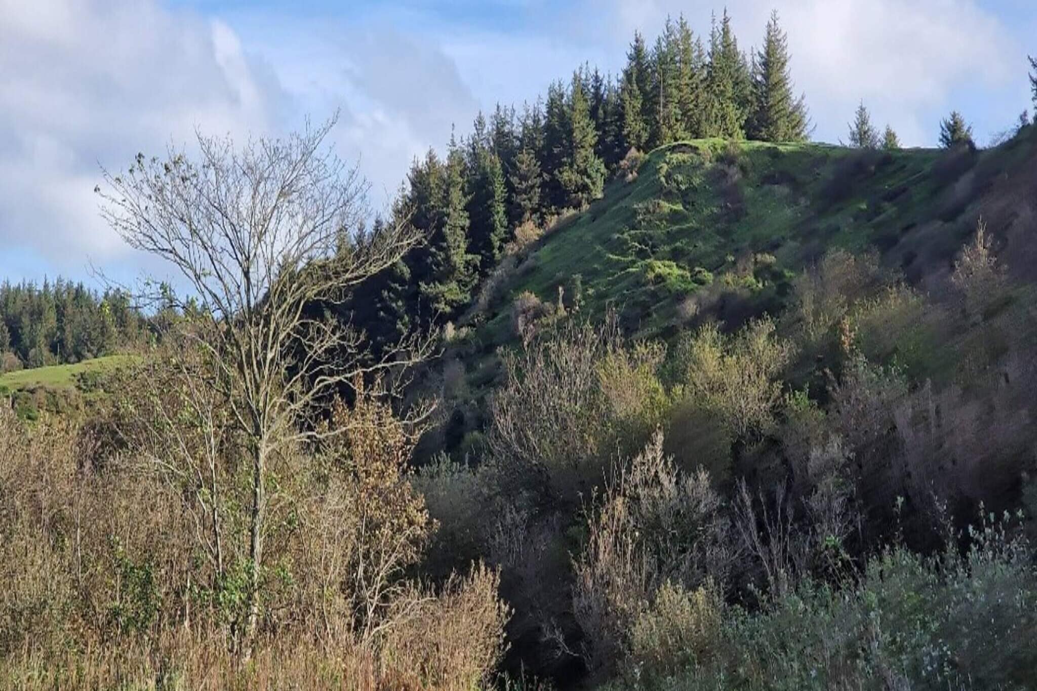 6 persoons vakantie huis in Brovst-Buitenlucht