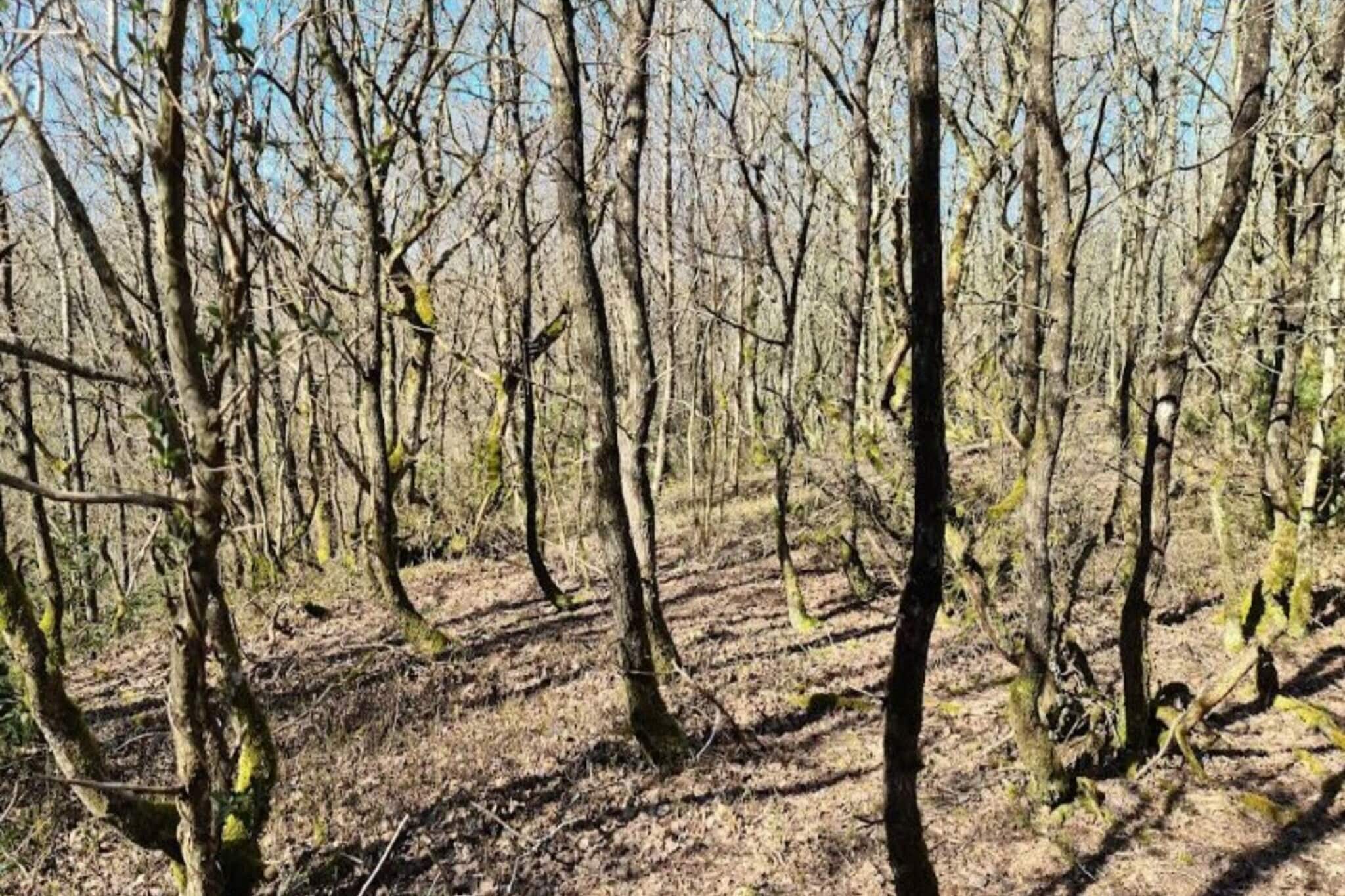 6 persoons vakantie huis in Brovst-Buitenlucht
