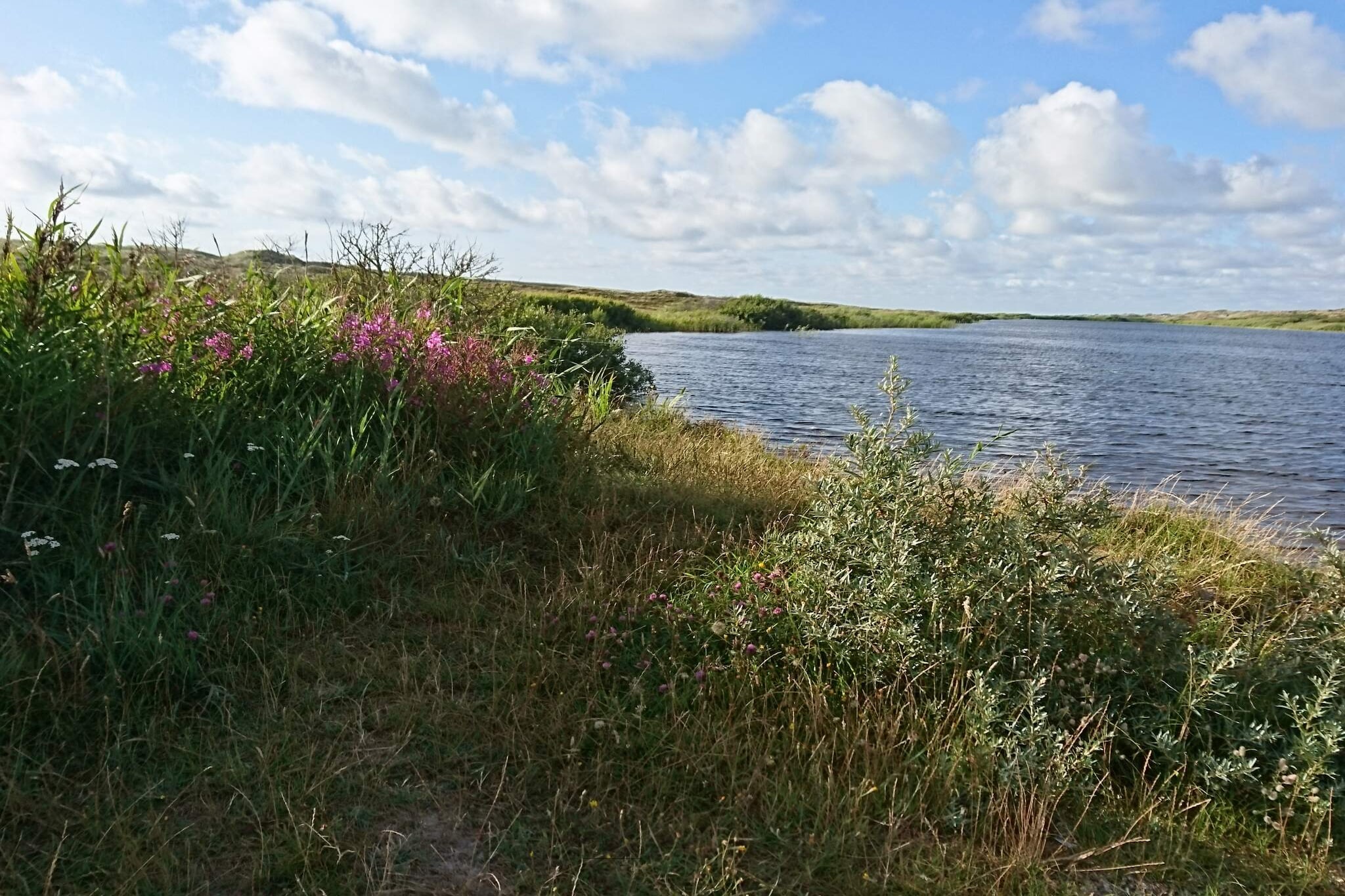 Water View