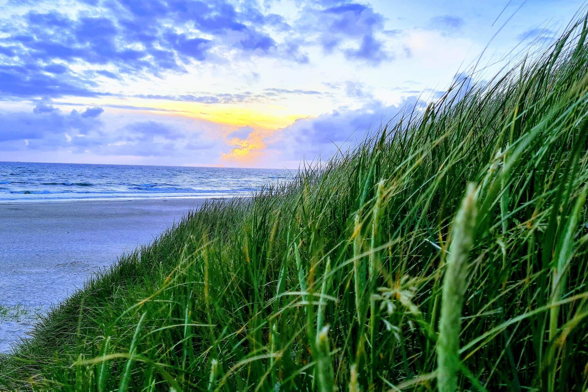 4 persoons vakantie huis in Nørre Nebel-Waterzicht
