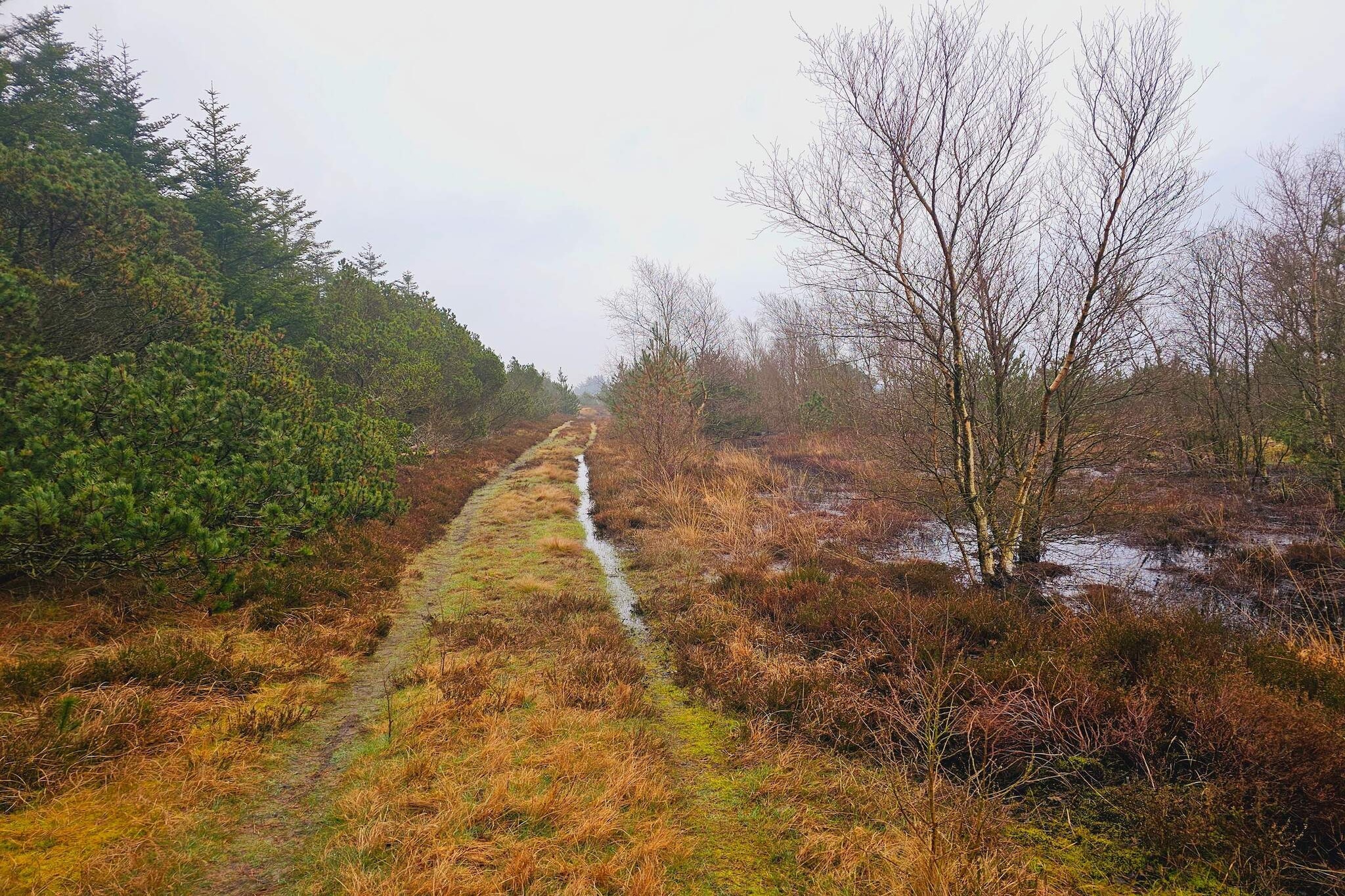 6 persoons vakantie huis in Nørre Nebel-Niet-getagd