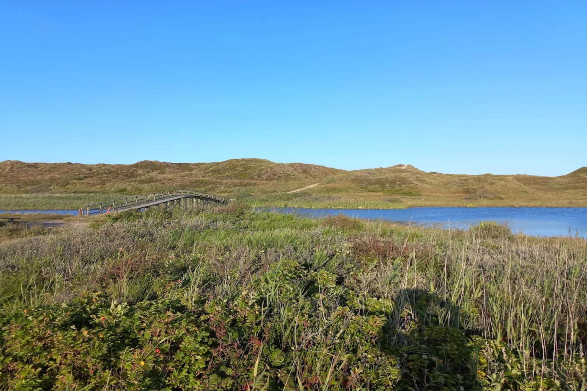 8 persoons vakantie huis in Nørre Nebel-Waterzicht