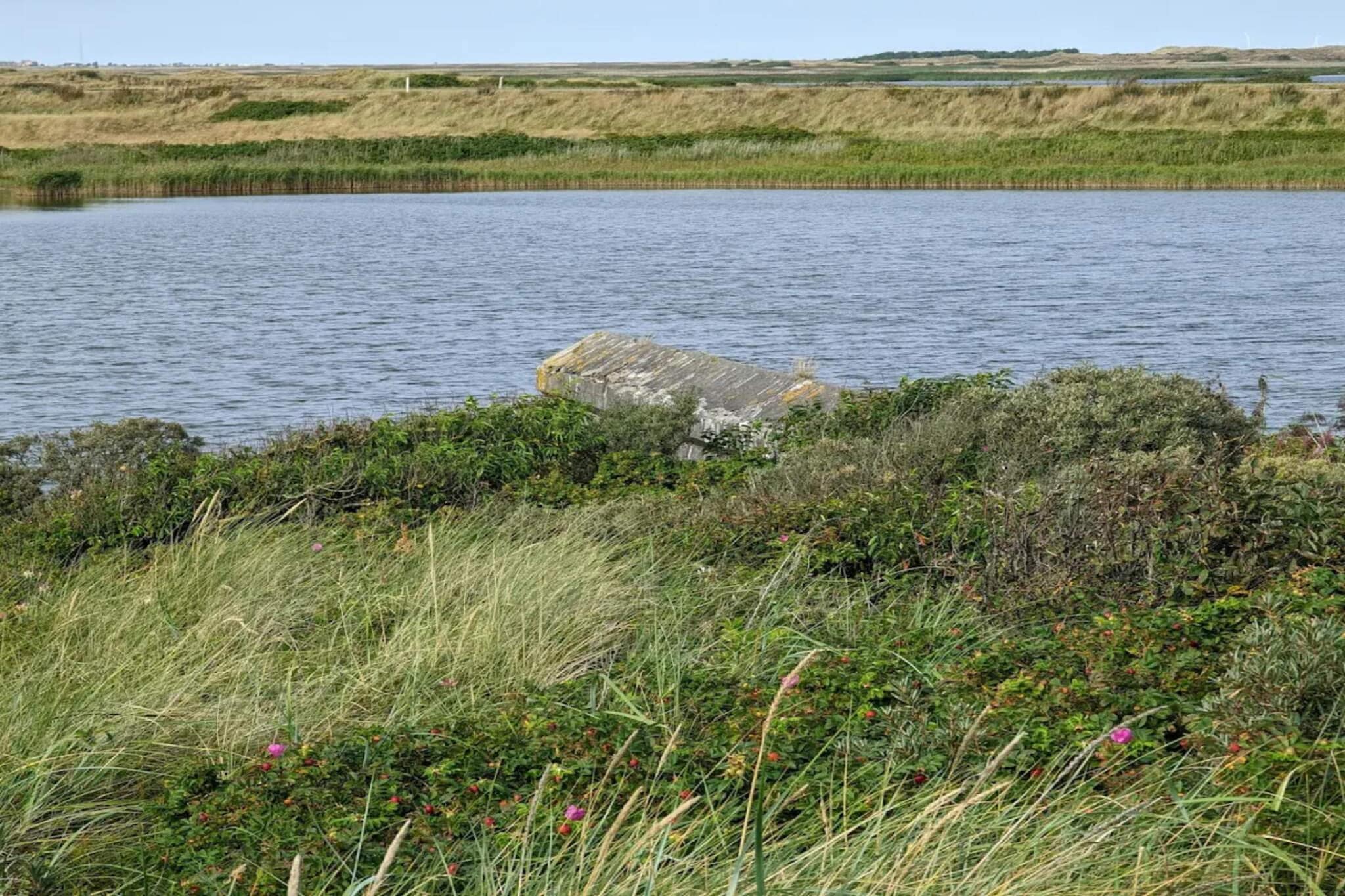 Water View