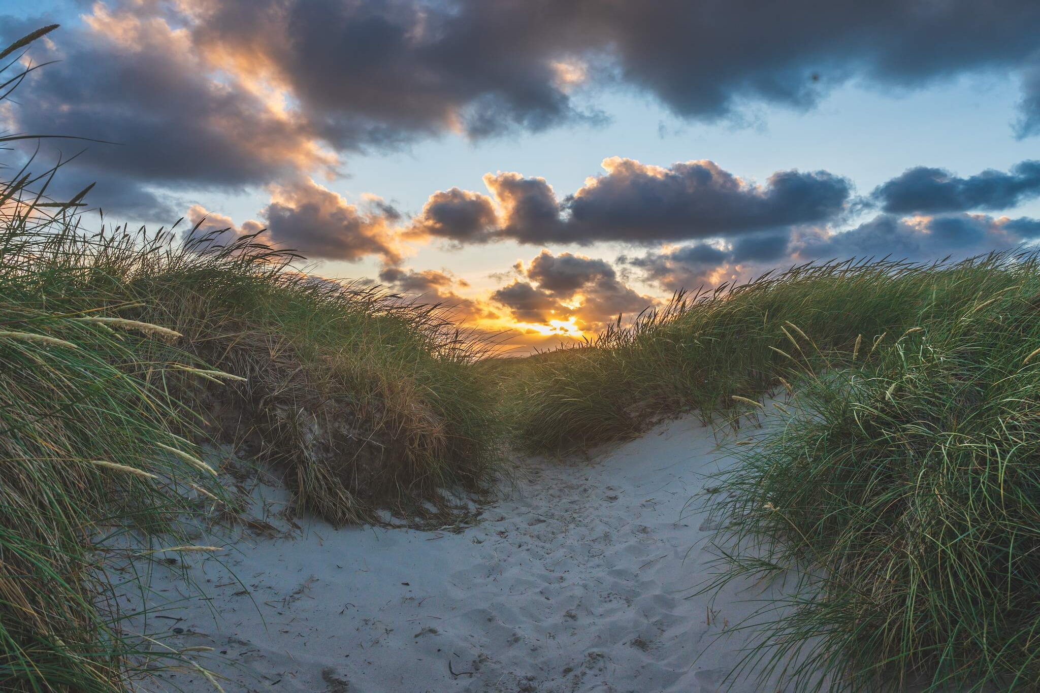 Kustenserene in Bjerregard-By Traum