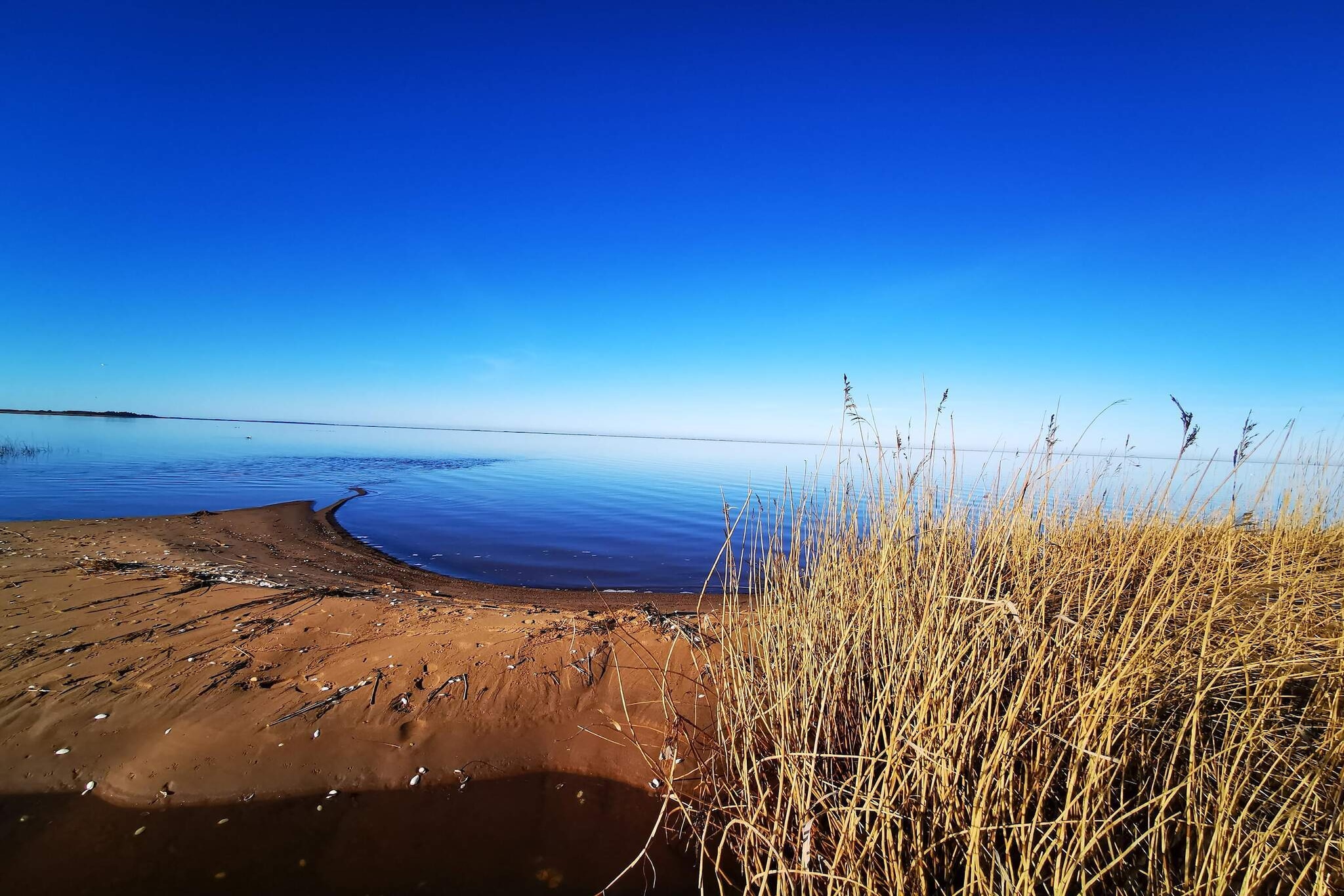 Modernes Waldrefugium-By Traum-Wasserblick
