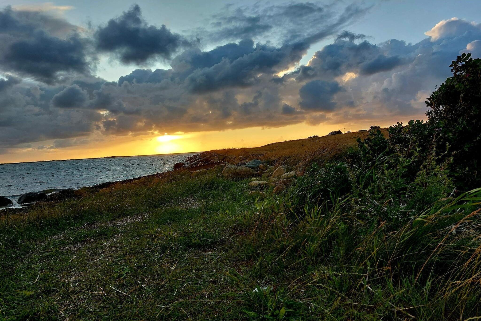 5 persoons vakantie huis in Hemmet-Waterzicht