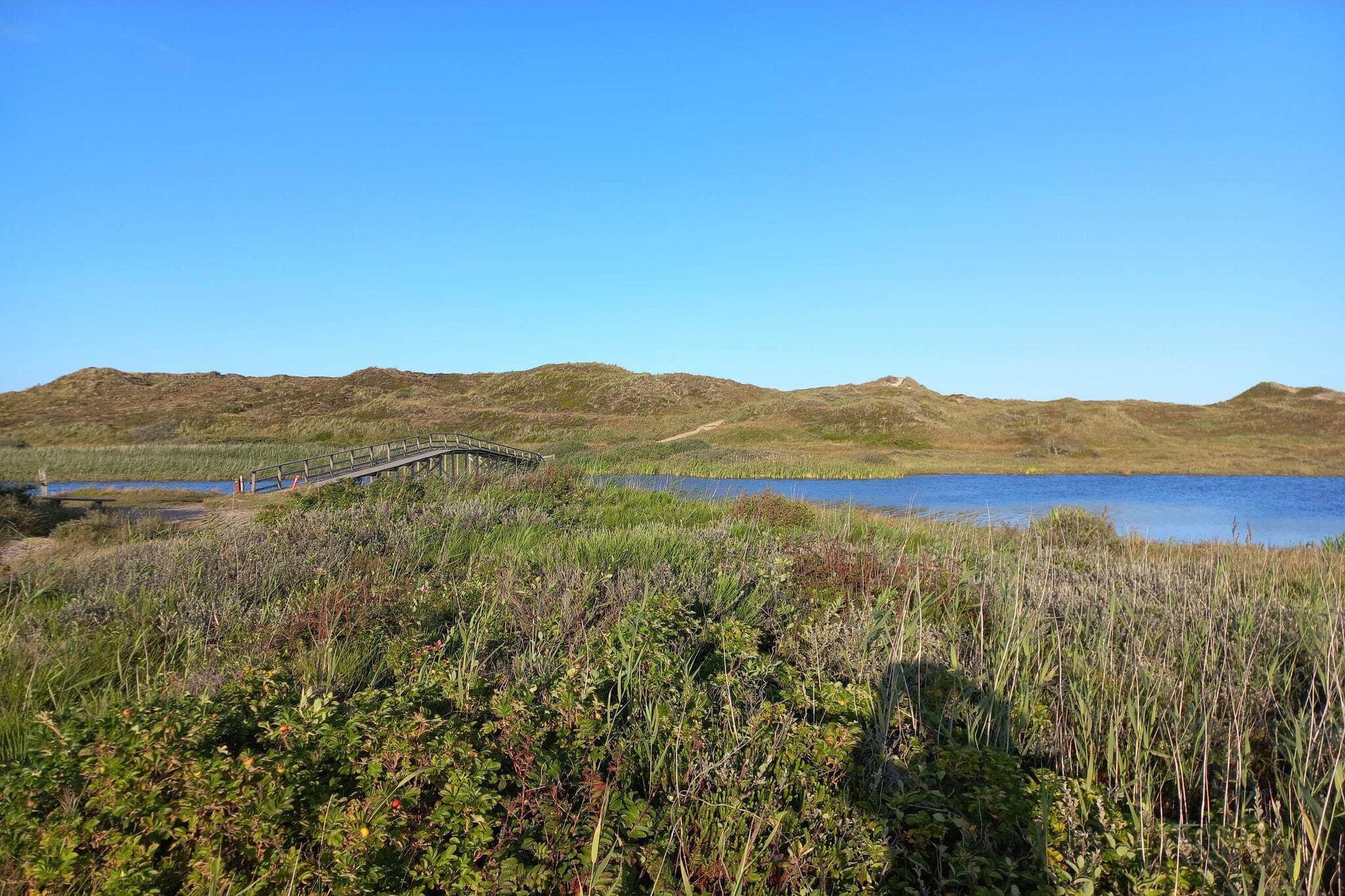 Sereen toevluchtsoord in Henne By-By Traum