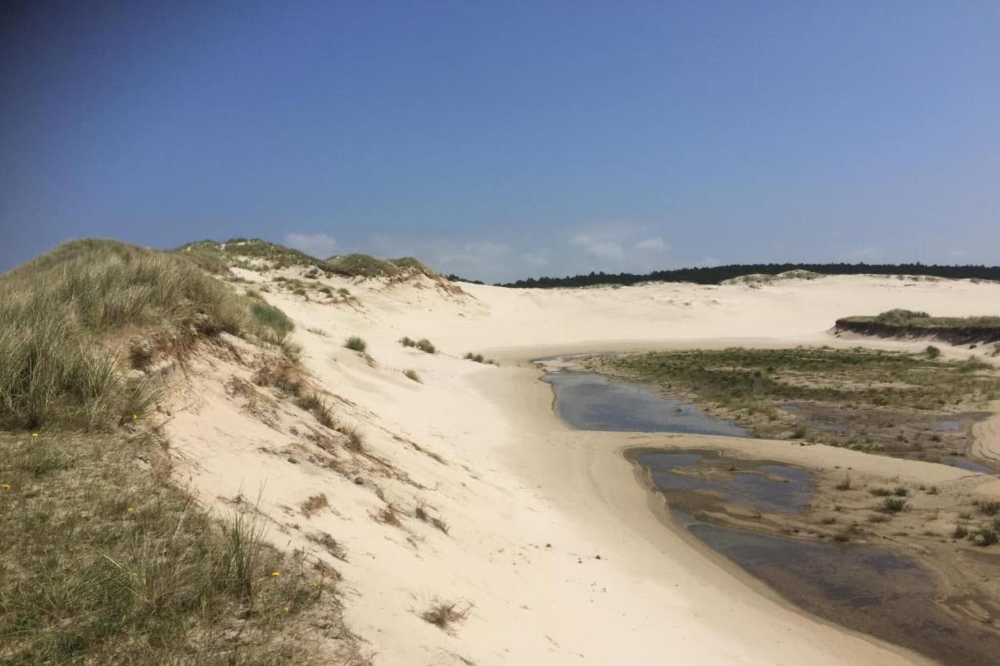 Het Schilderhuijs-Gebieden zomer 20km