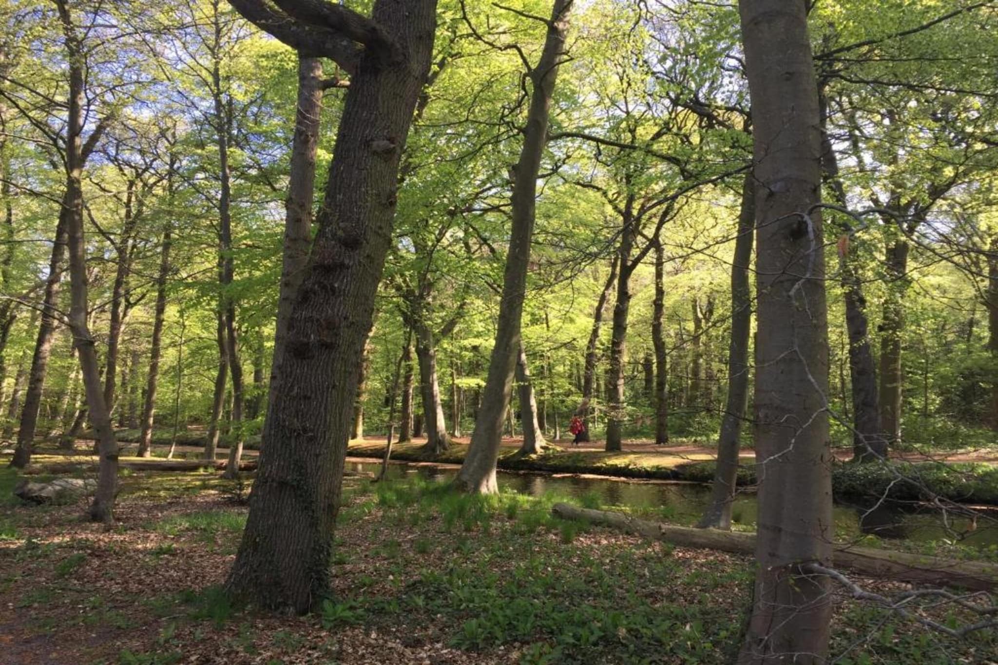 Het Schilderhuijs-Gebieden zomer 20km
