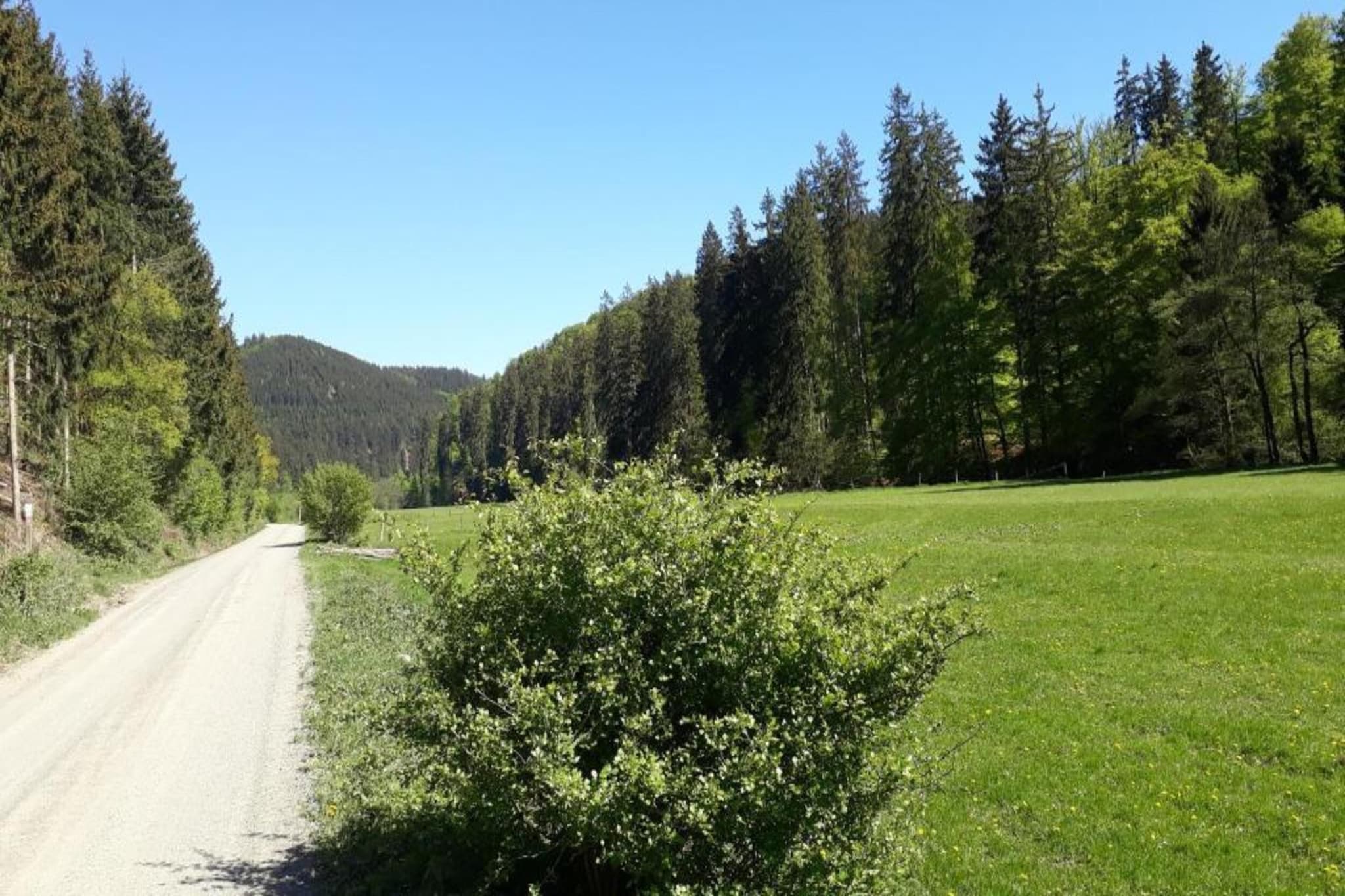 Blokhuis Winterberg Tulp-Gebieden zomer 5km