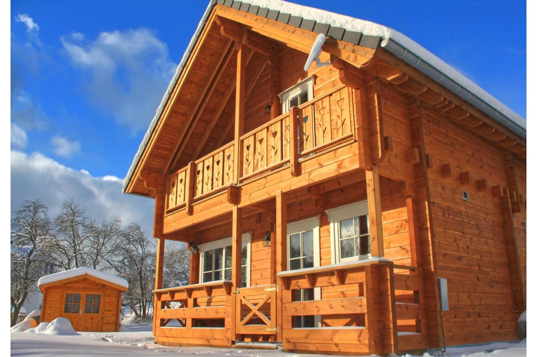 Blokhuis Winterberg Tulp-Exterieur winter