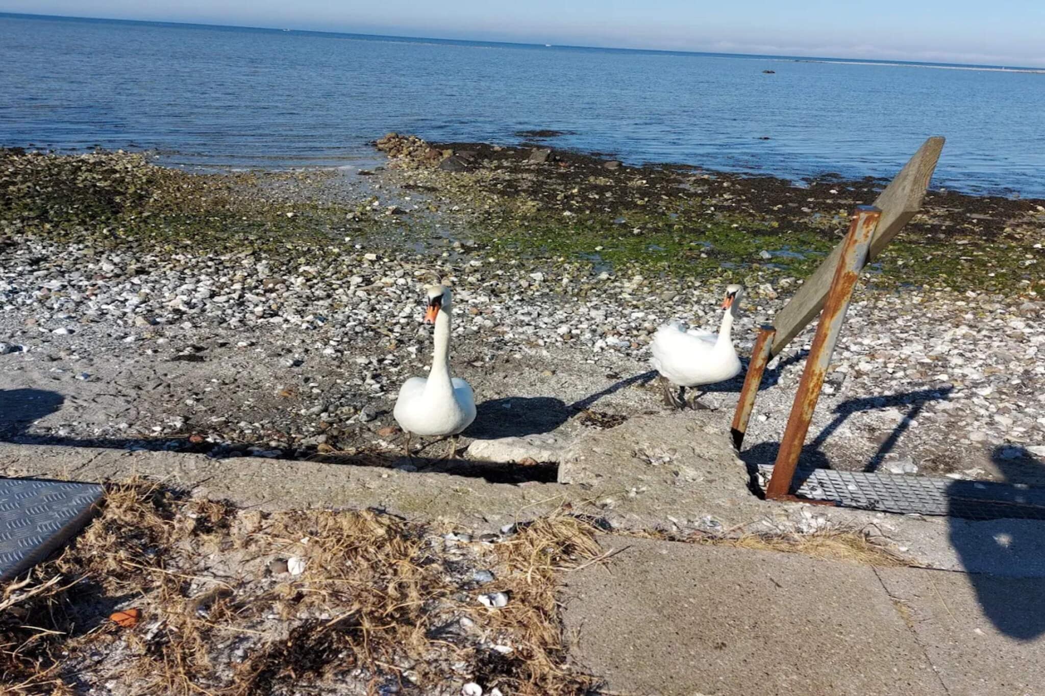 4 Personen Ferienhaus in Bogense-Wasserblick