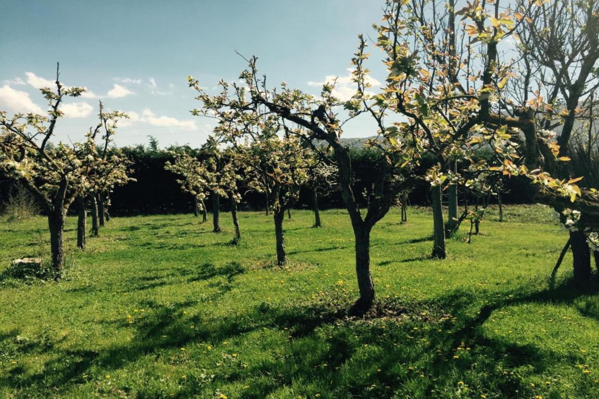 Appartamento in Villa con Giardino e Piscina-Gebieden zomer 20km