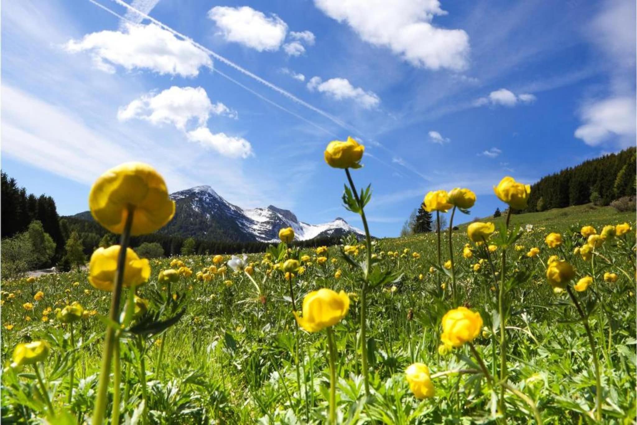 Appartamento in Villa con Giardino e Piscina-Gebieden zomer 20km