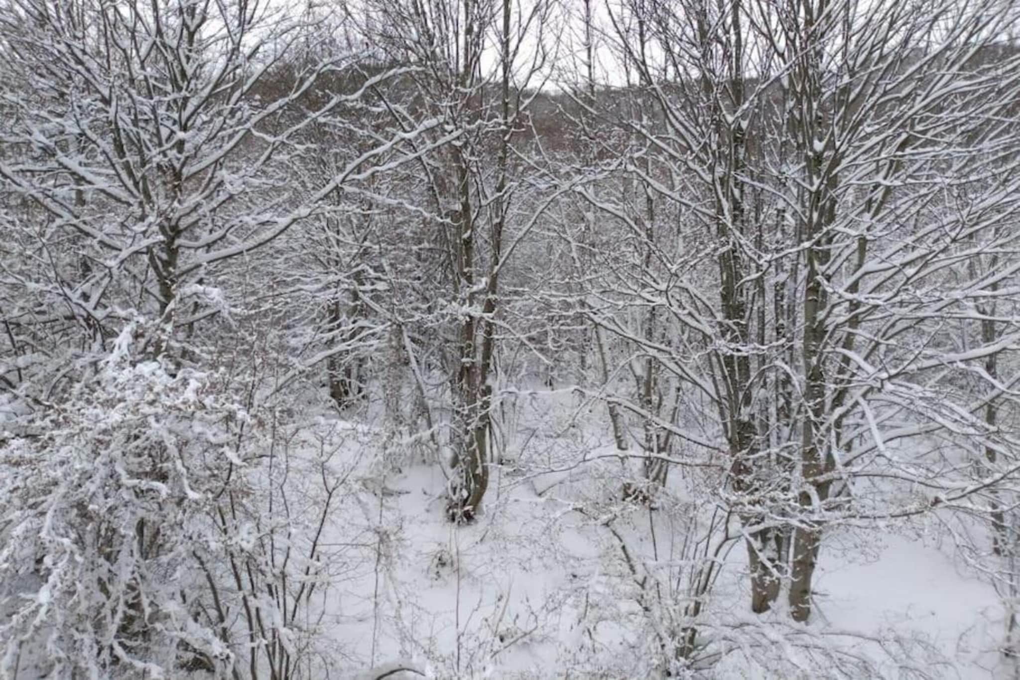 Appartamento in Villa con Giardino e Piscina-Gebied winter 20km