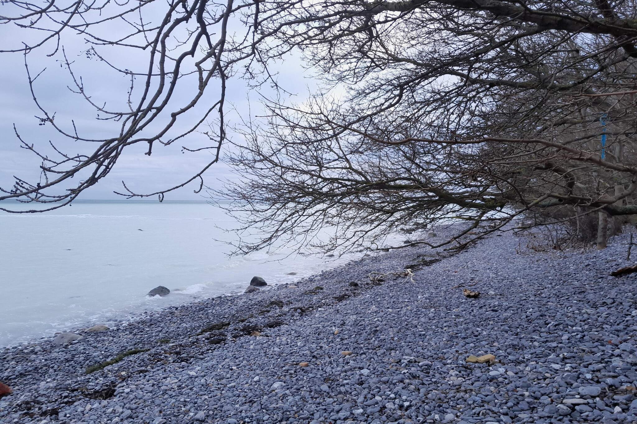 4 persoons vakantie huis in Borre-Waterzicht