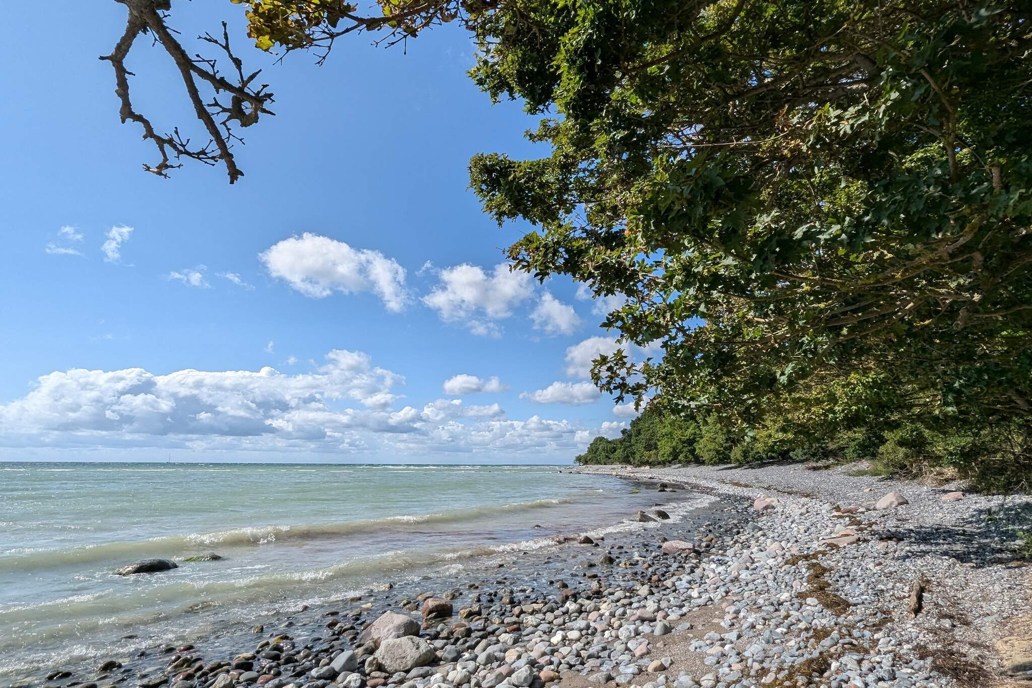 4 persoons vakantie huis in Borre-Waterzicht