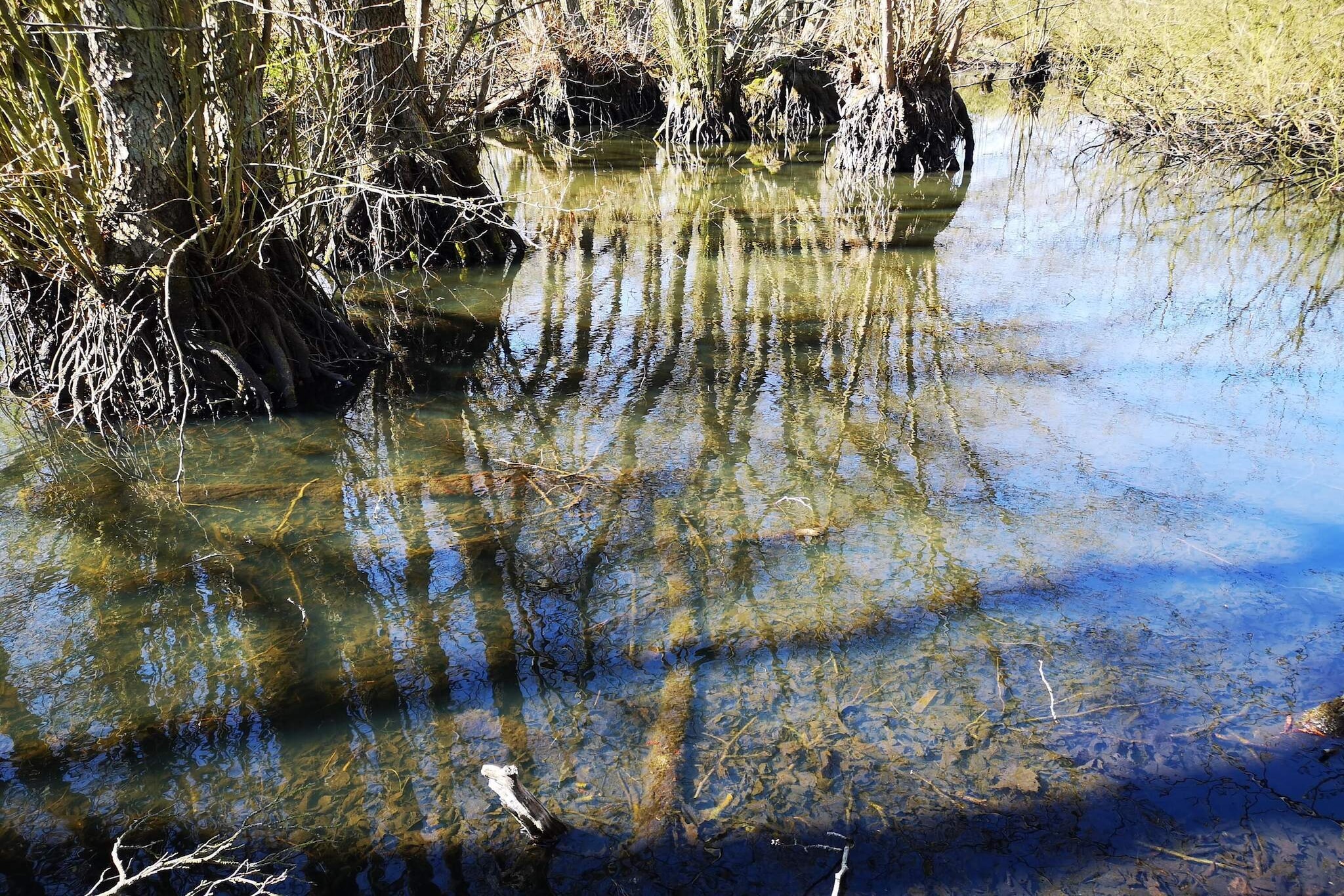 4 persoons vakantie huis in Borre-Waterzicht