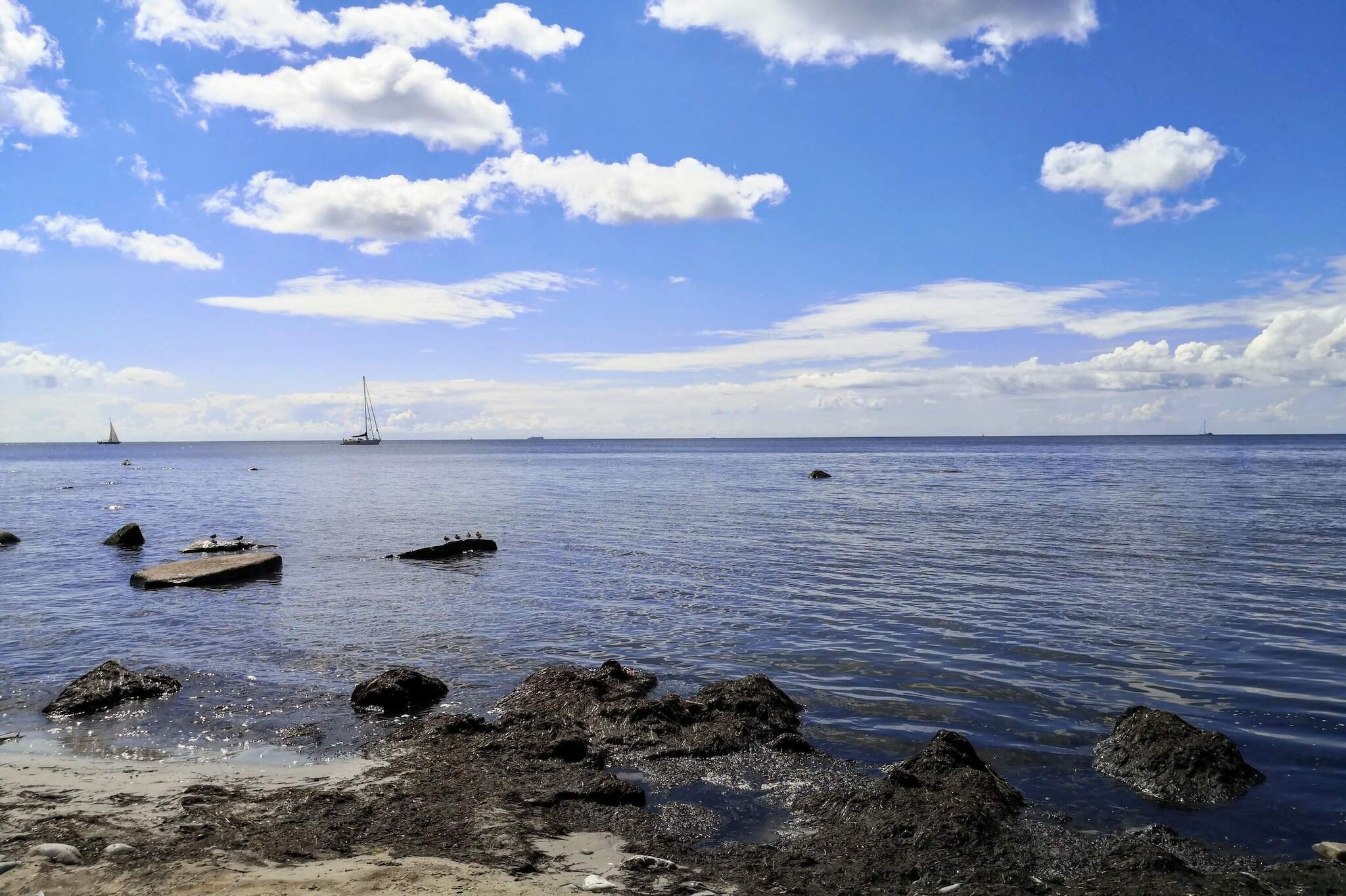 4 persoons vakantie huis in Borre-Waterzicht