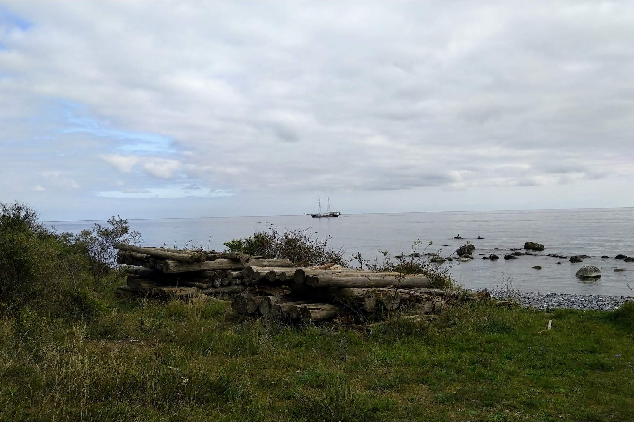 4 persoons vakantie huis in Borre-Waterzicht