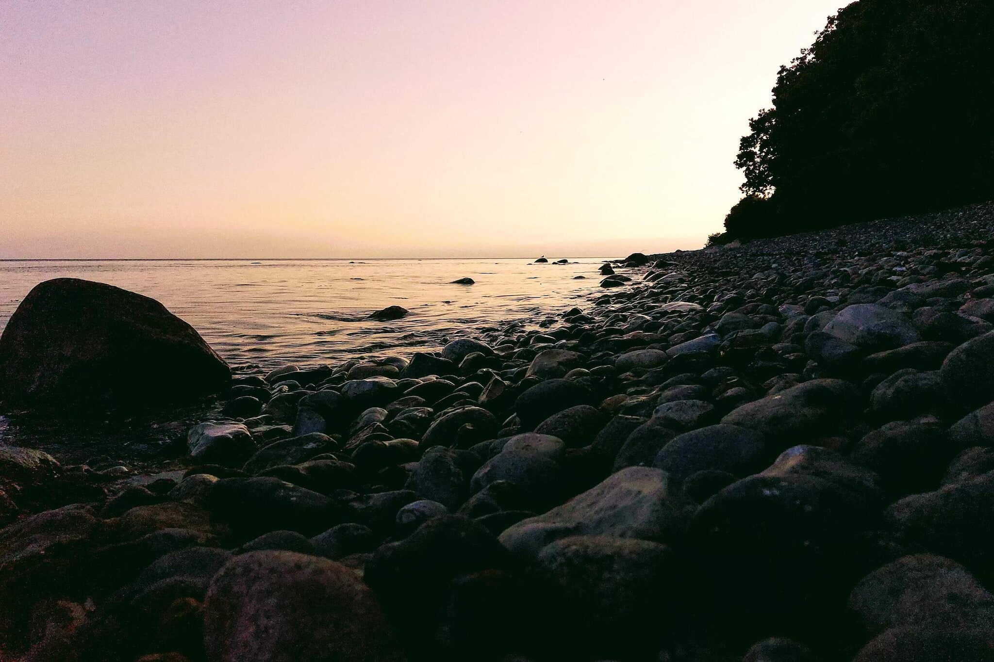 4 persoons vakantie huis in Borre-Waterzicht